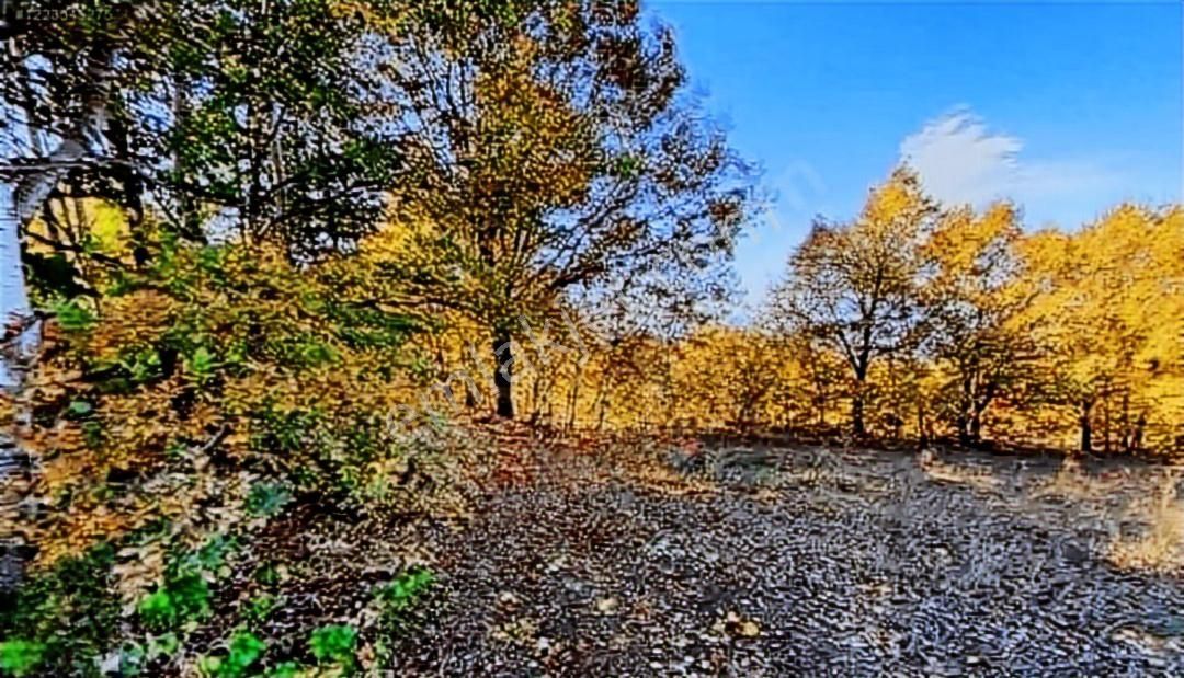 Bursa İnegöl 9 Dönüm Satılık Kelepir Tarla