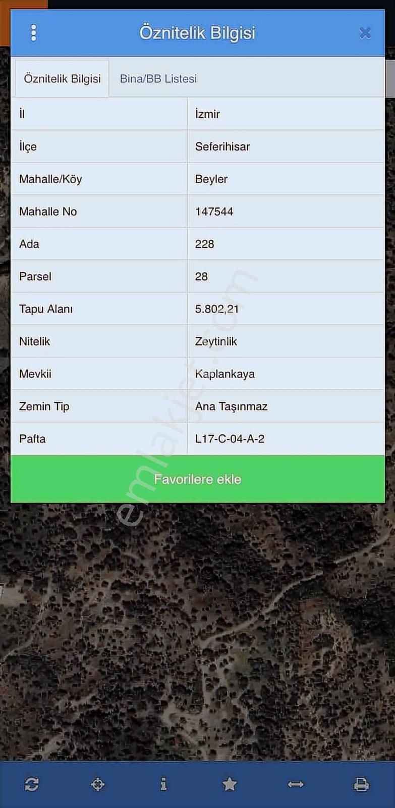 Seferihisar Beylerde Müstakil Tapulu 5802 M² Zeytinlik - Görsel 4