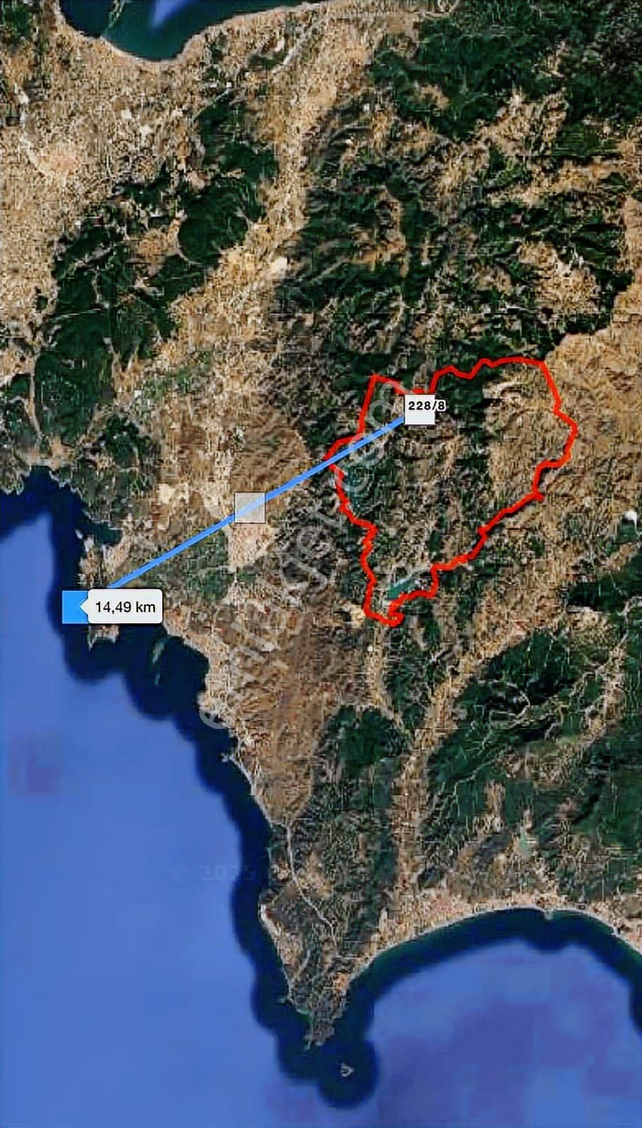 Seferihisar Beylerde Müstakil Tapulu 5802 M² Zeytinlik - Görsel 3