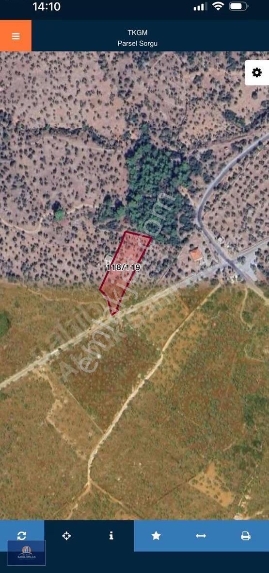 Muğla Milas Kazıklı Koyunda Satılık 4 Dönüm Ana Yol Cepheli - Görsel 2
