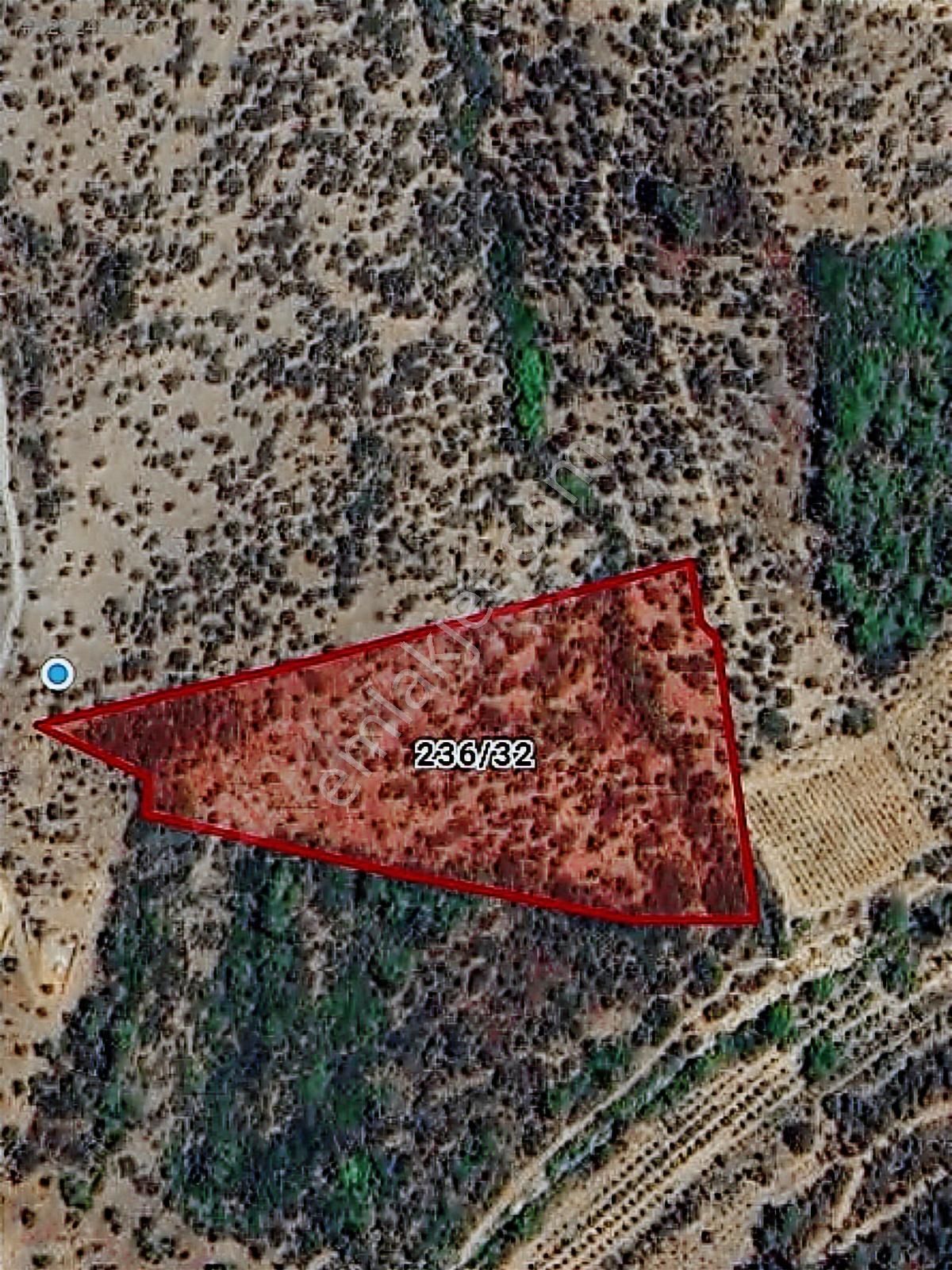 Seferihisar Beyler - Orhanlı Sınırında Müstakil Tapulu Zeytinlik - Görsel 6