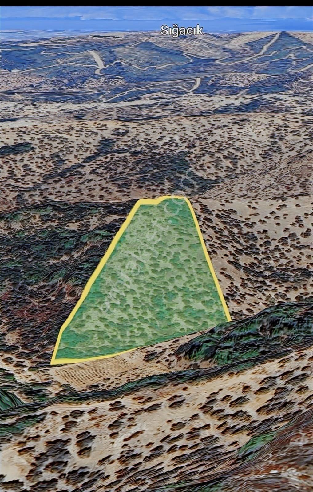 Seferihisar Beyler - Orhanlı Sınırında Müstakil Tapulu Zeytinlik - Görsel 2