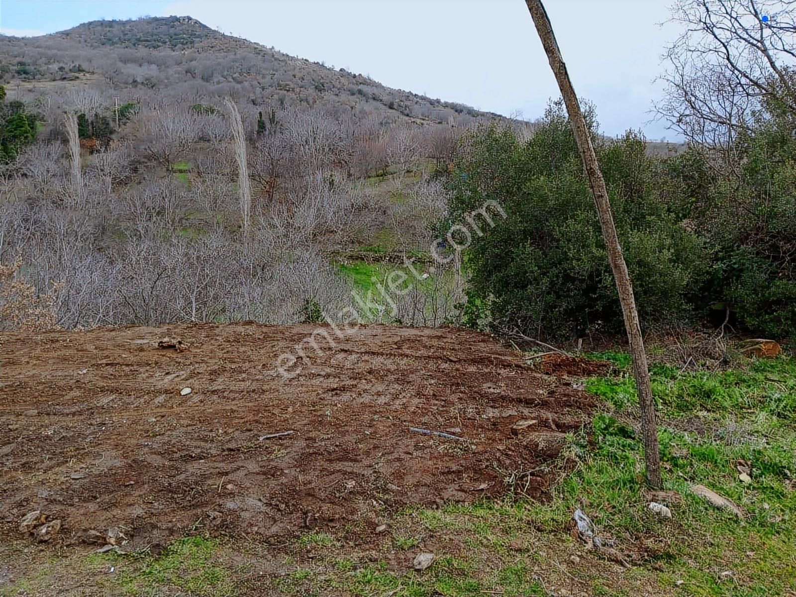 İzmir Tire Büyükkemerdere Satılık Asfalt Yola Cepheli Bahçe - Görsel 11