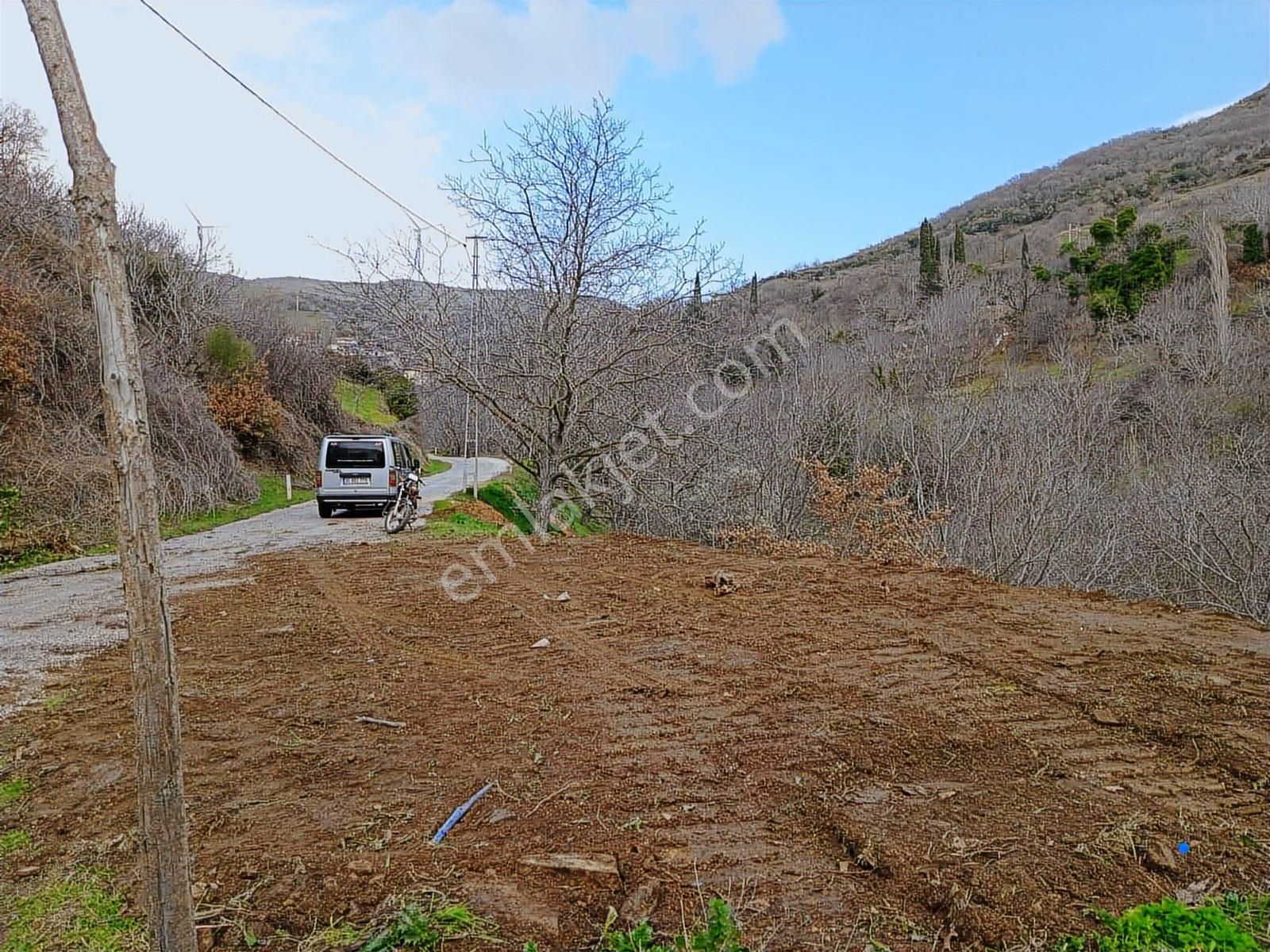 İzmir Tire Büyükkemerdere Satılık Asfalt Yola Cepheli Bahçe - Görsel 16
