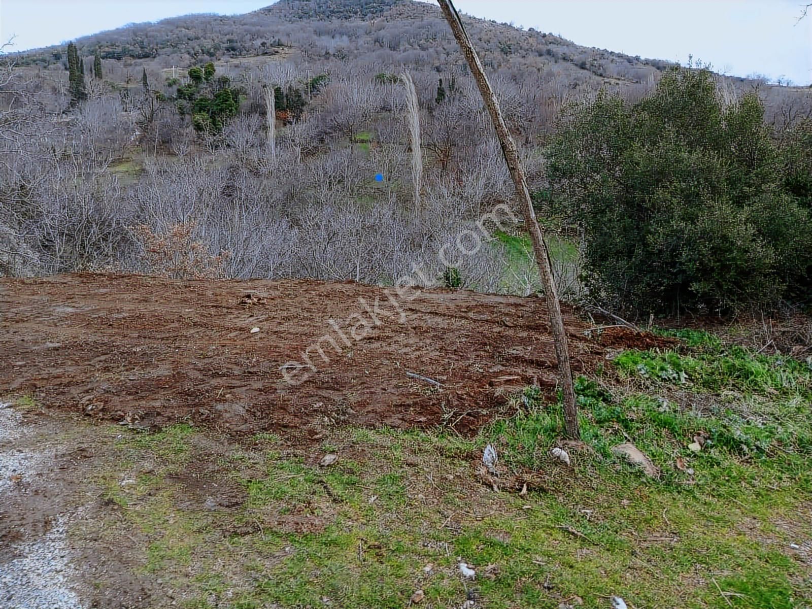 İzmir Tire Büyükkemerdere Satılık Asfalt Yola Cepheli Bahçe - Görsel 14