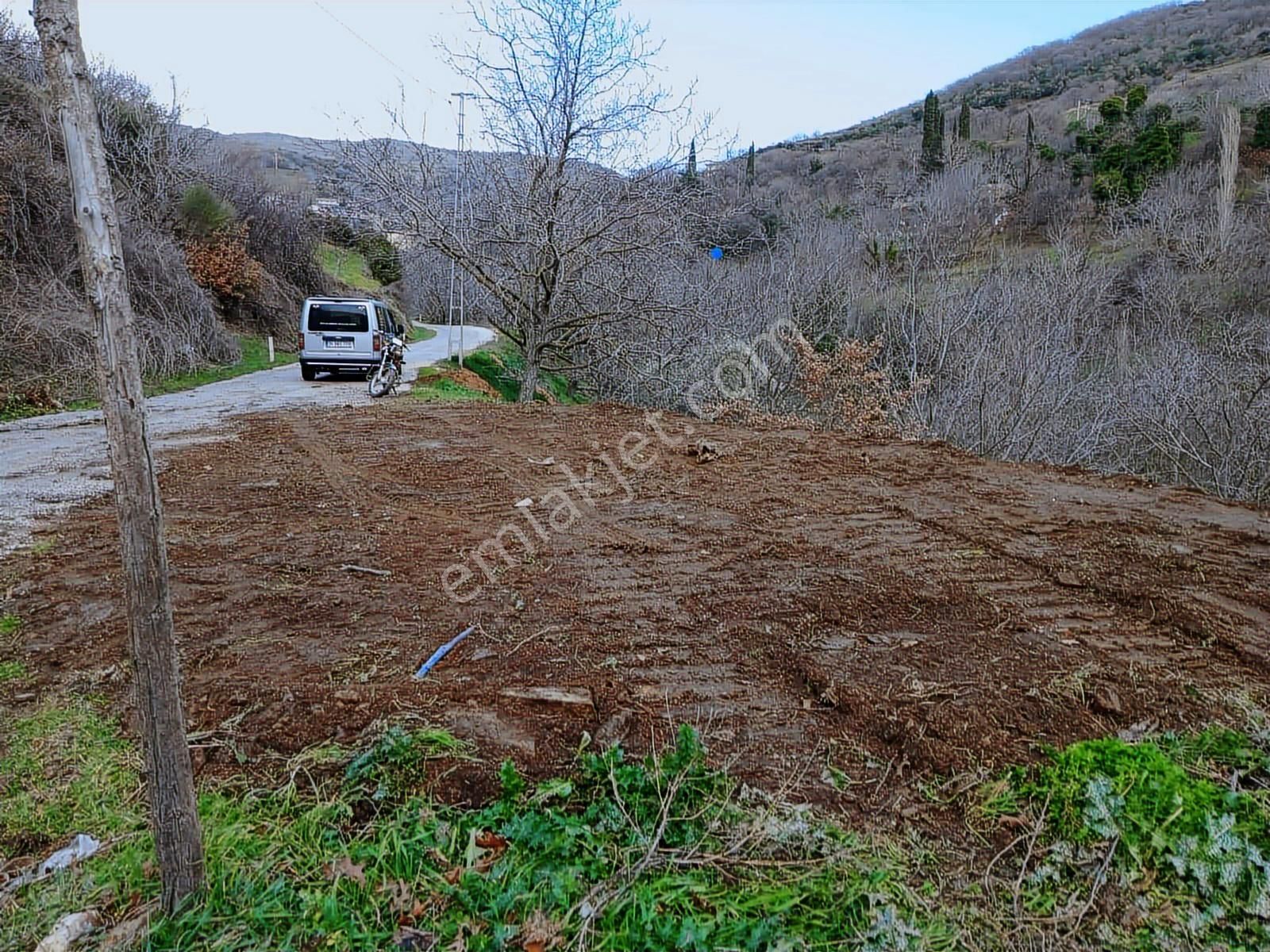 İzmir Tire Büyükkemerdere Satılık Asfalt Yola Cepheli Bahçe - Görsel 7
