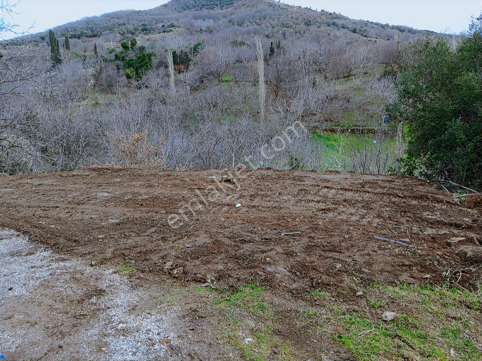 İzmir Tire Büyükkemerdere Satılık Asfalt Yola Cepheli Bahçe - Görsel 3