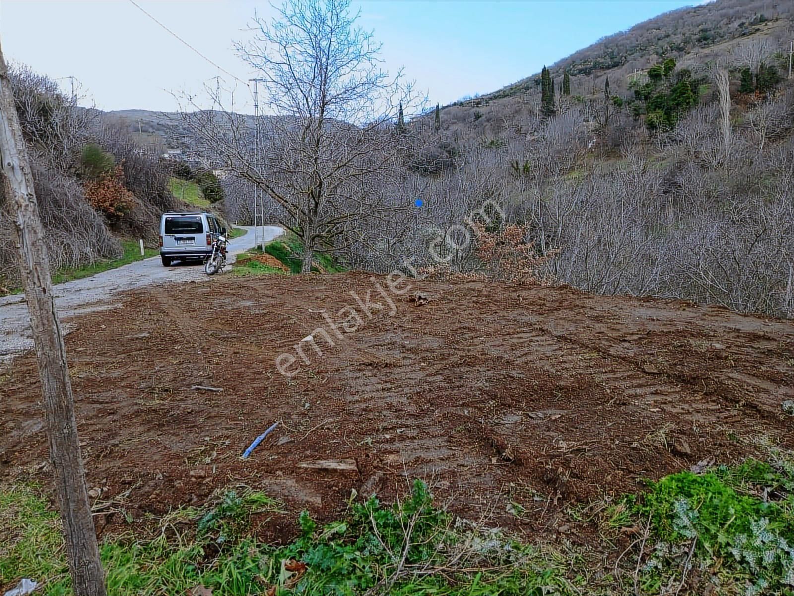 İzmir Tire Büyükkemerdere Satılık Asfalt Yola Cepheli Bahçe - Görsel 6