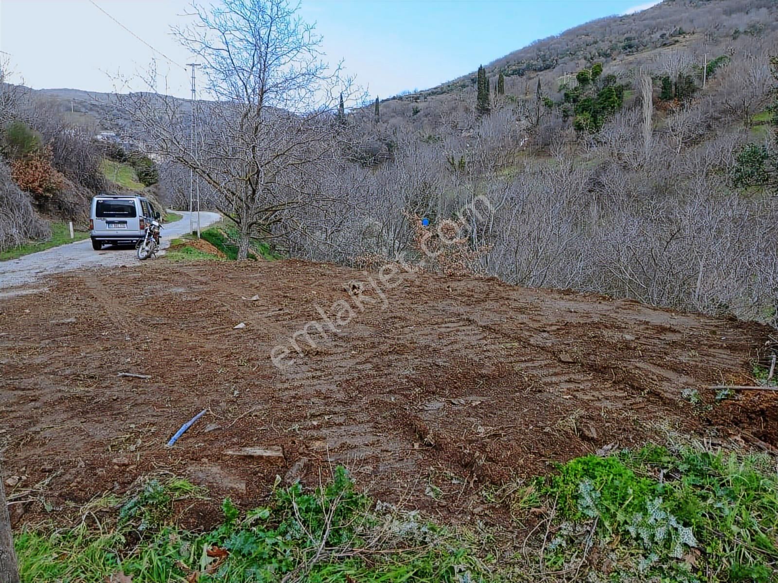 İzmir Tire Büyükkemerdere Satılık Asfalt Yola Cepheli Bahçe