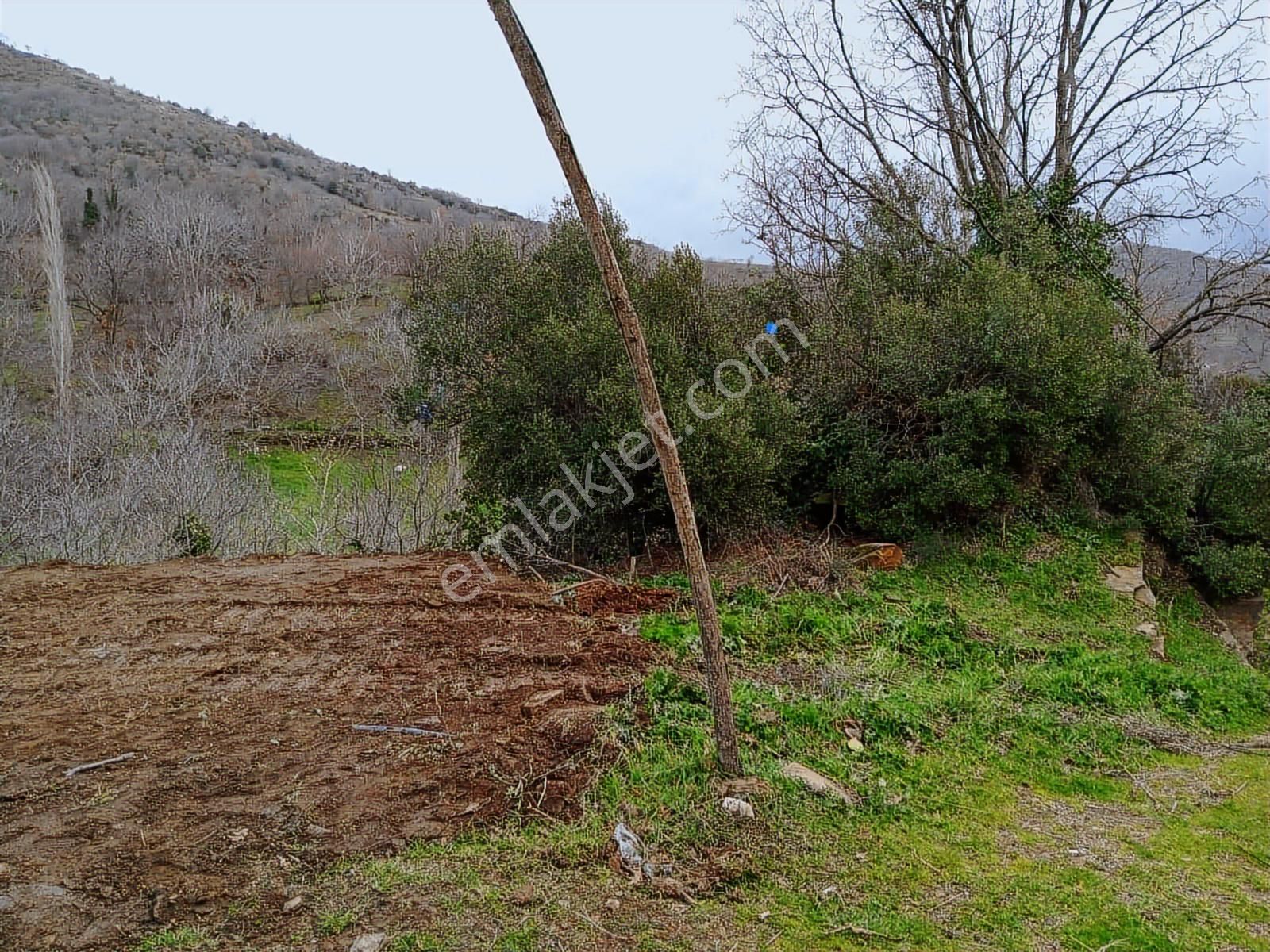 İzmir Tire Büyükkemerdere Satılık Asfalt Yola Cepheli Bahçe - Görsel 8