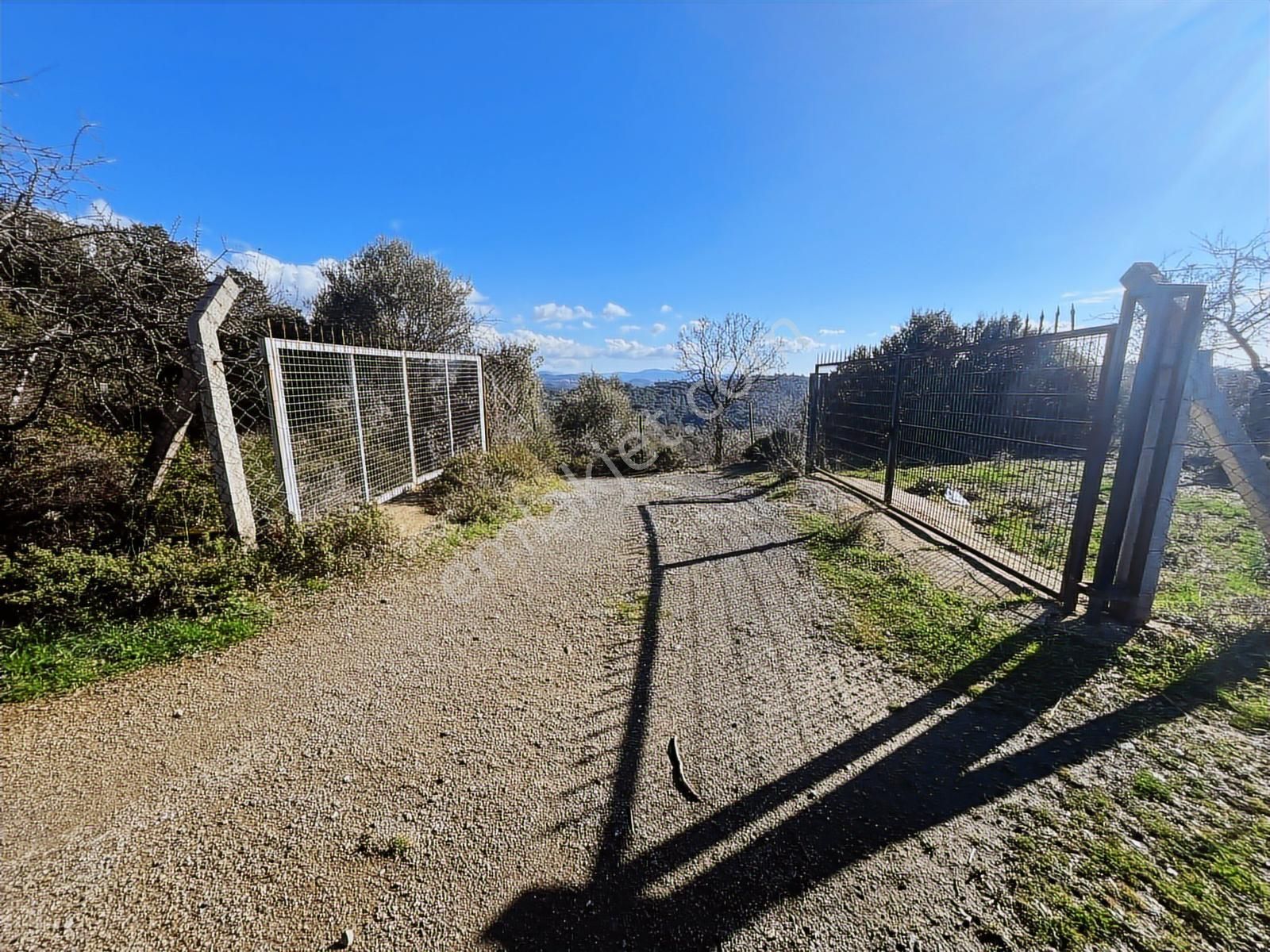 Seferihisar Gölcük Satılık 7 Dönüm Yatırımlık Bedava Zeytinlik - Görsel 23