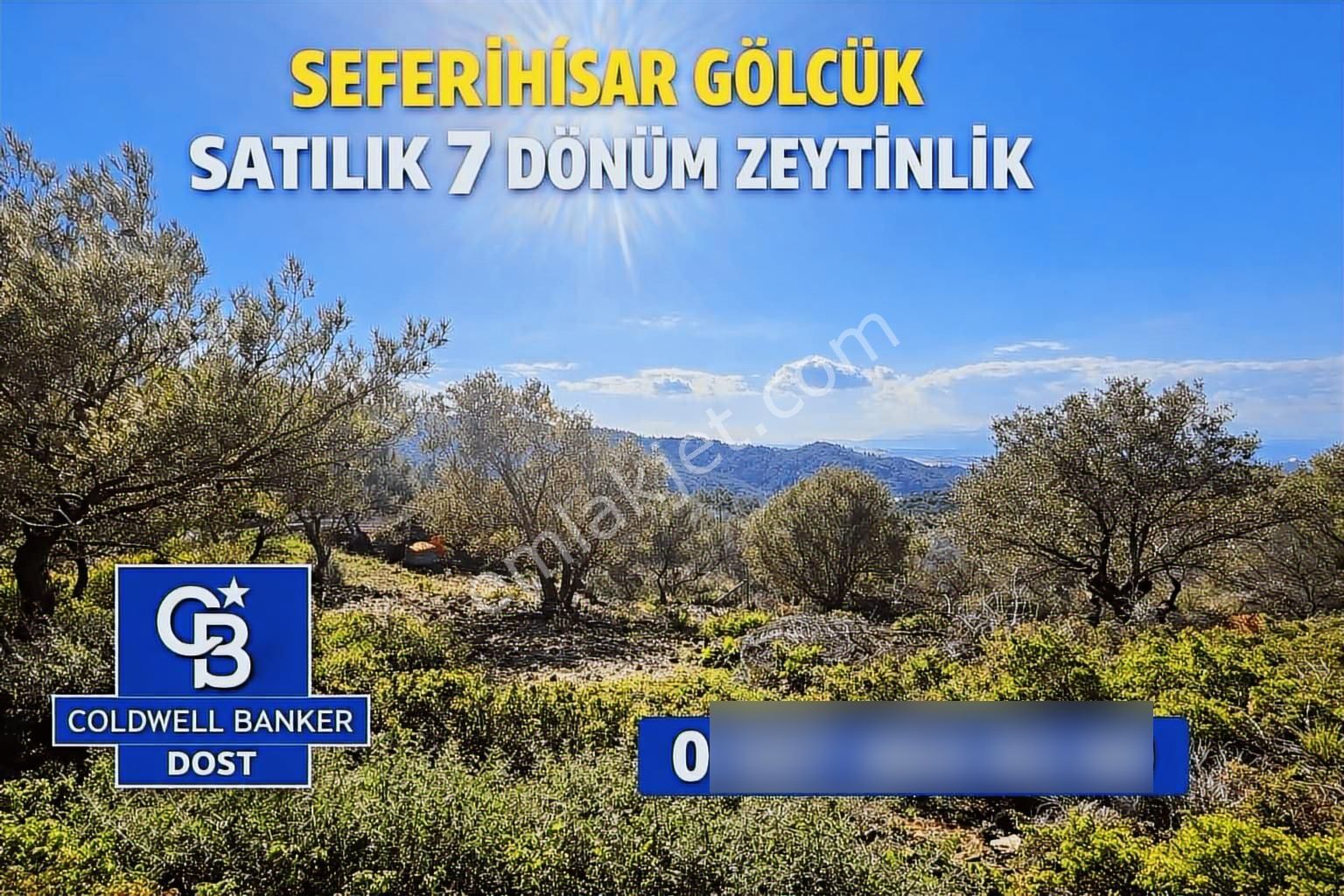 Seferihisar Gölcük Satılık 7 Dönüm Yatırımlık Bedava Zeytinlik - Görsel 22