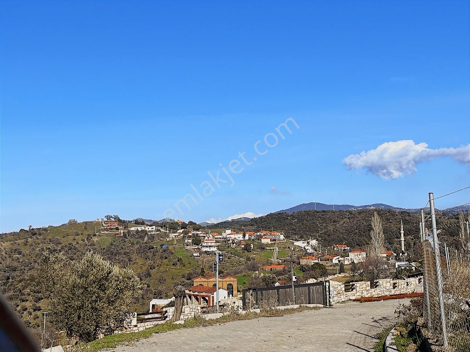 Seferihisar Gölcük Satılık 7 Dönüm Yatırımlık Bedava Zeytinlik - Görsel 15