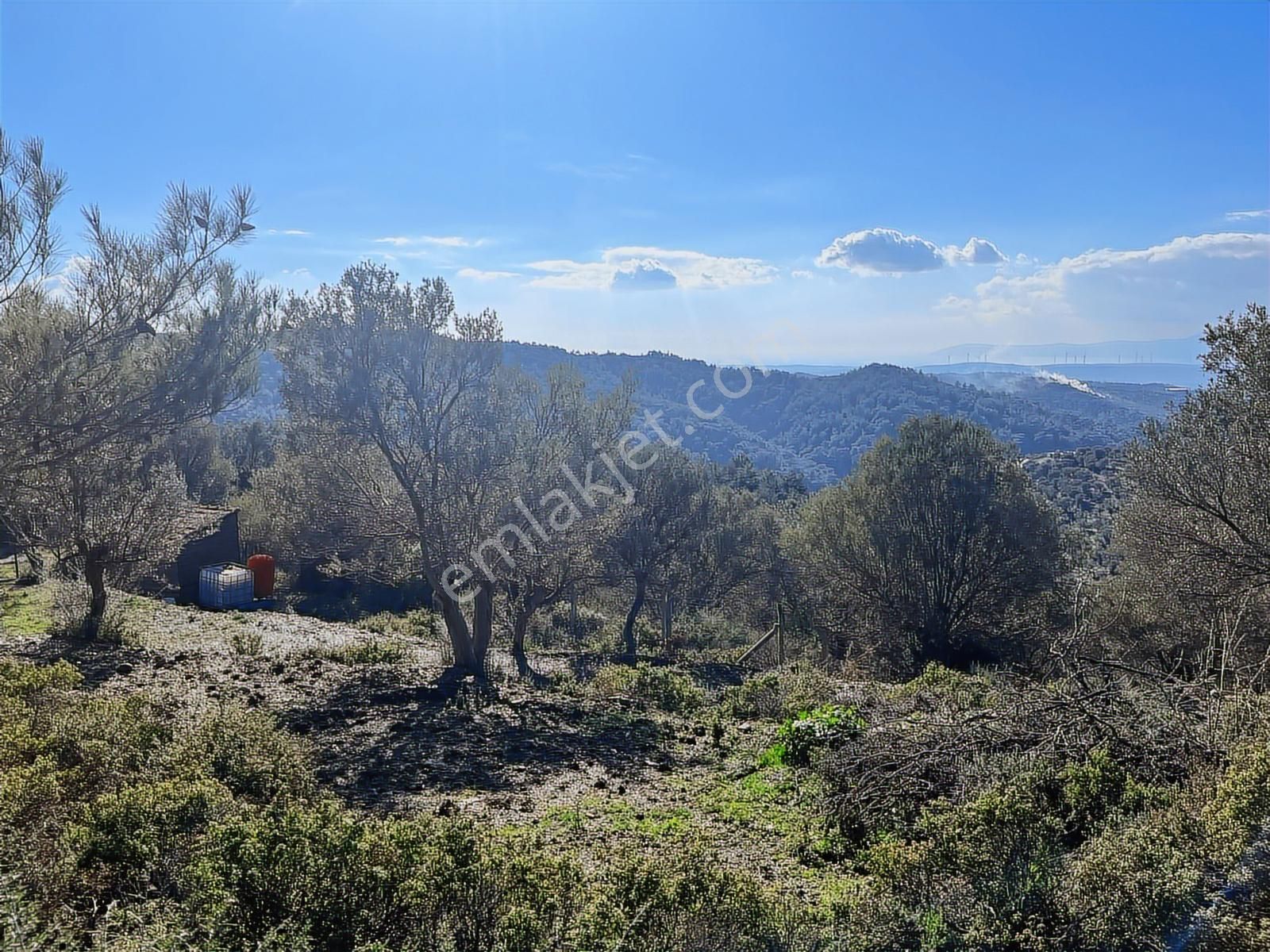 Seferihisar Gölcük Satılık 7 Dönüm Yatırımlık Bedava Zeytinlik - Görsel 27
