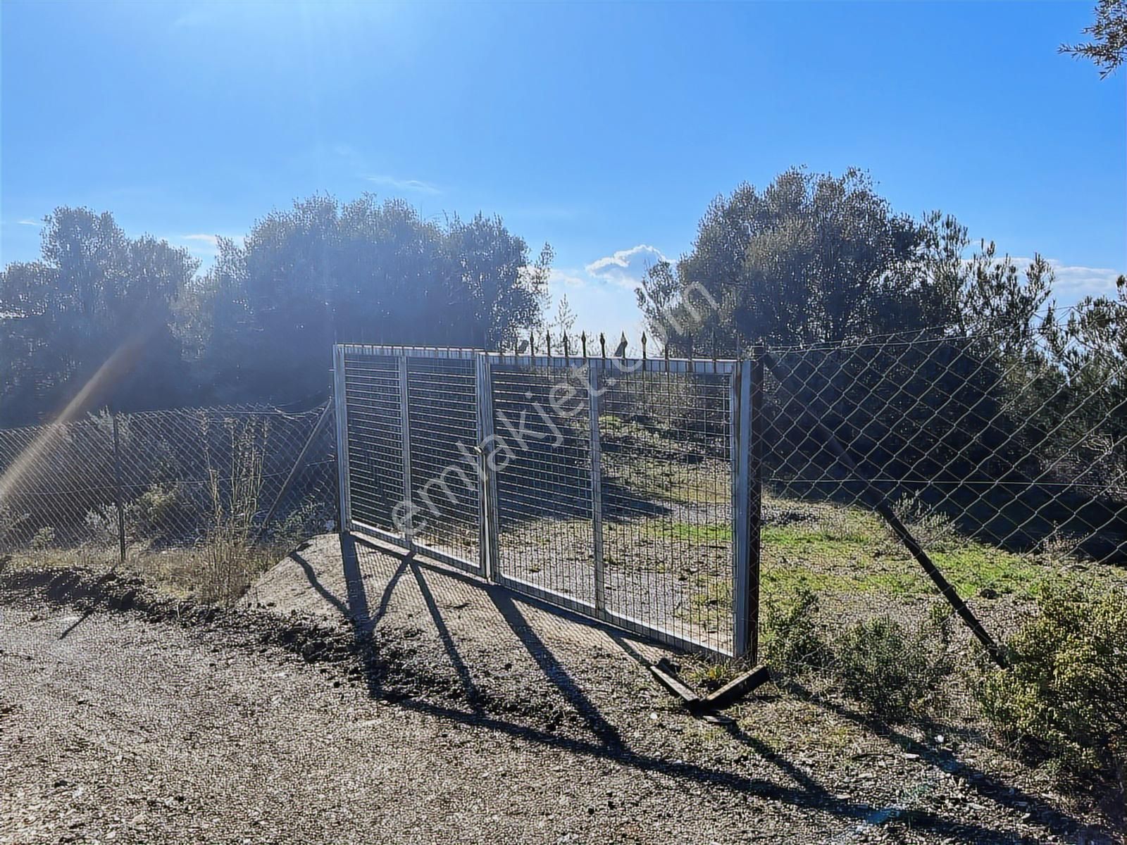 Seferihisar Gölcük Satılık 7 Dönüm Yatırımlık Bedava Zeytinlik - Görsel 12