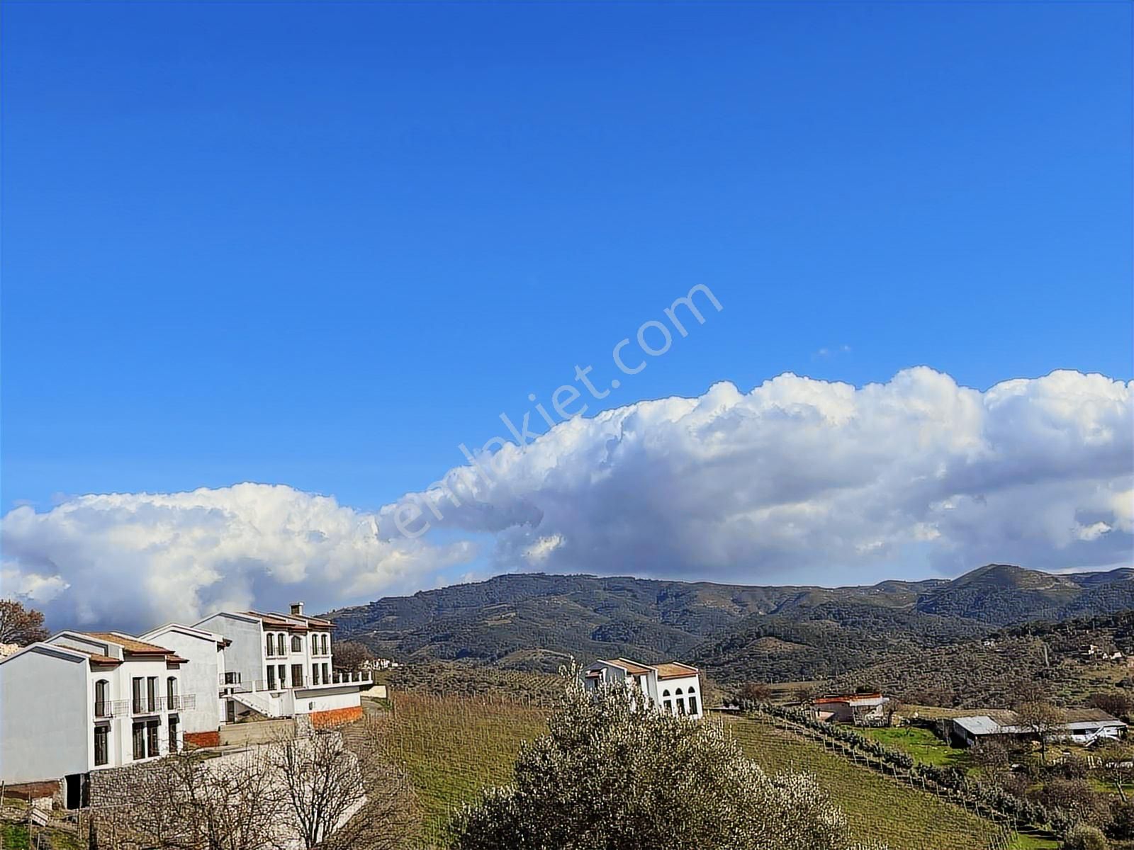 Seferihisar Gölcük Satılık 7 Dönüm Yatırımlık Bedava Zeytinlik - Görsel 7