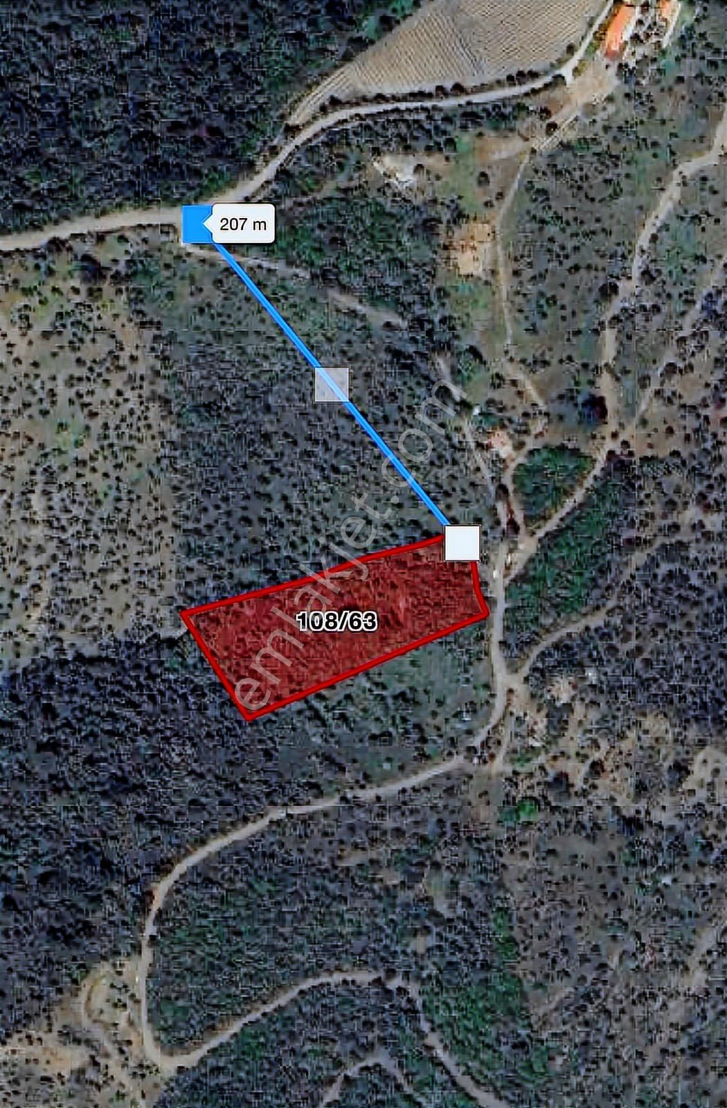 Seferihisar Gölcük Satılık 7 Dönüm Yatırımlık Bedava Zeytinlik - Görsel 16