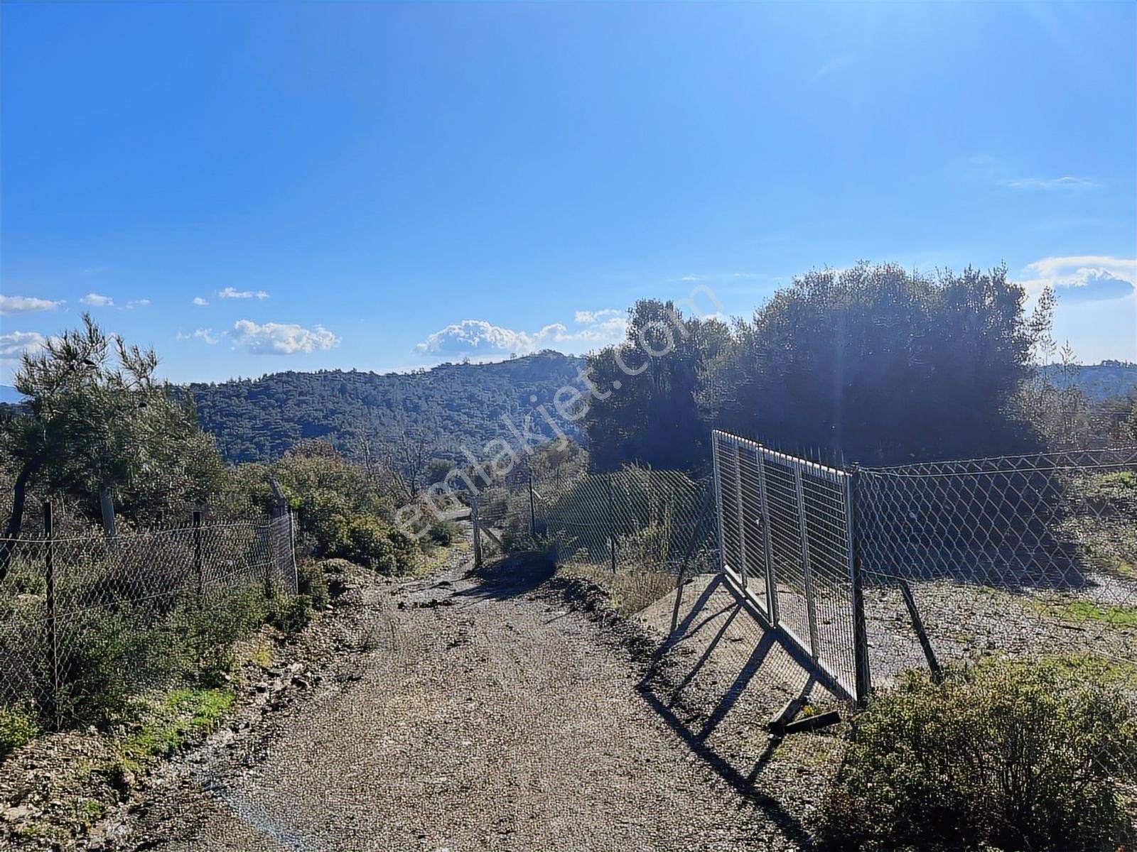 Seferihisar Gölcük Satılık 7 Dönüm Yatırımlık Bedava Zeytinlik - Görsel 9