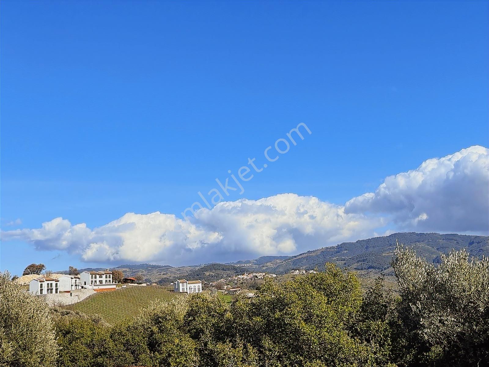 Seferihisar Gölcük Satılık 7 Dönüm Yatırımlık Bedava Zeytinlik - Görsel 14