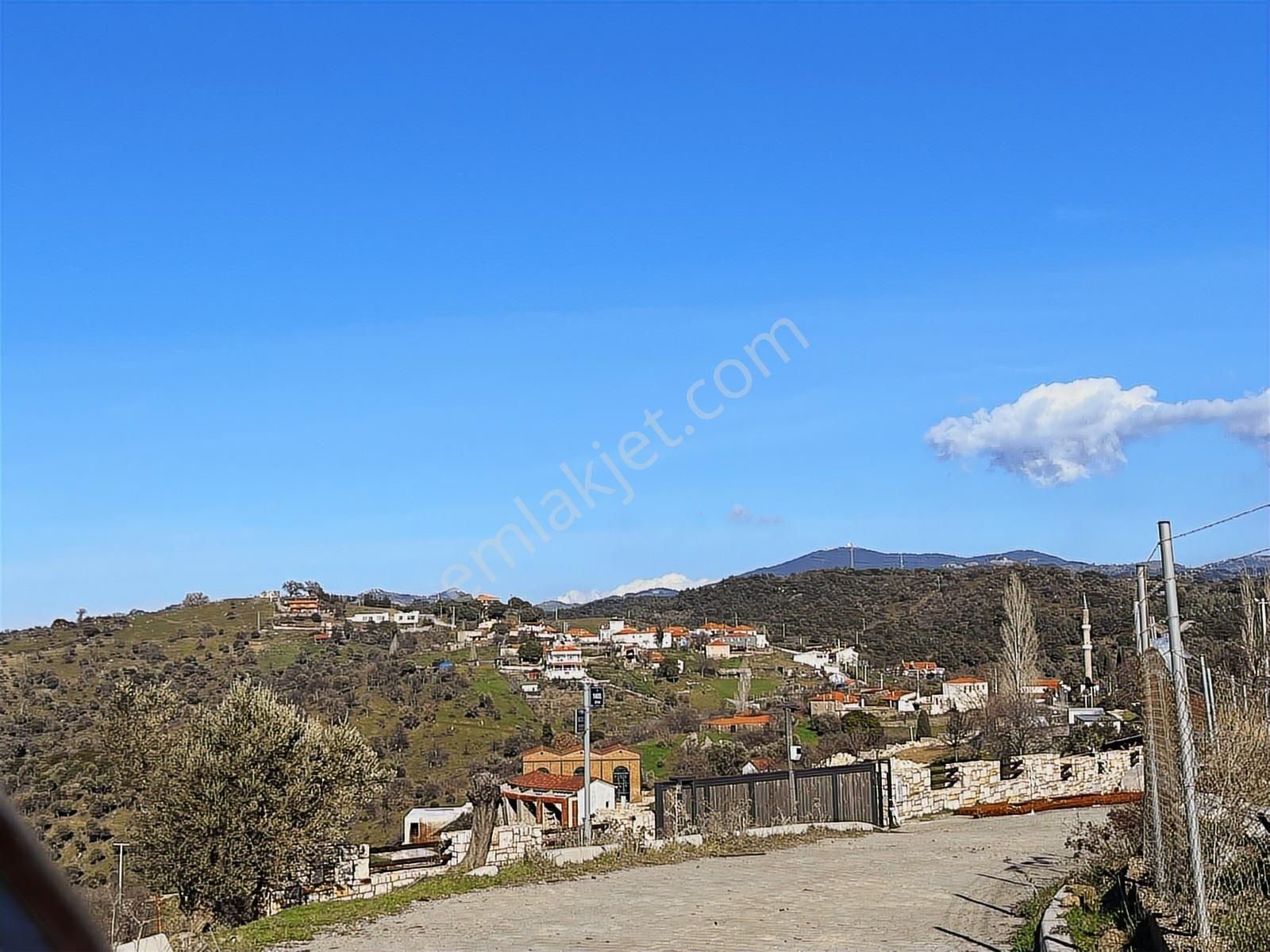 Seferihisar Gölcük Satılık 7 Dönüm Yatırımlık Bedava Zeytinlik - Görsel 24