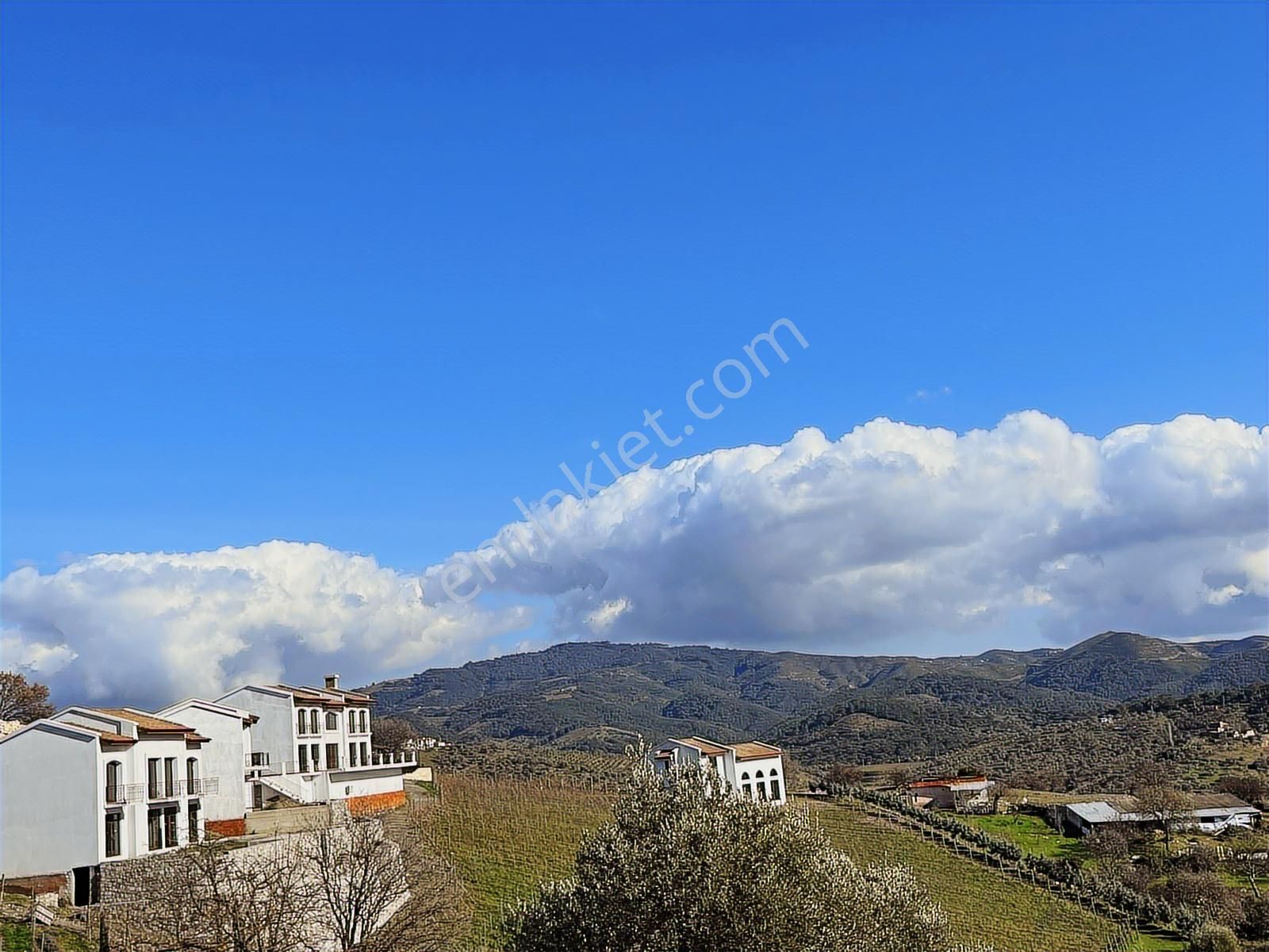 Seferihisar Gölcük Satılık 7 Dönüm Yatırımlık Bedava Zeytinlik - Görsel 13