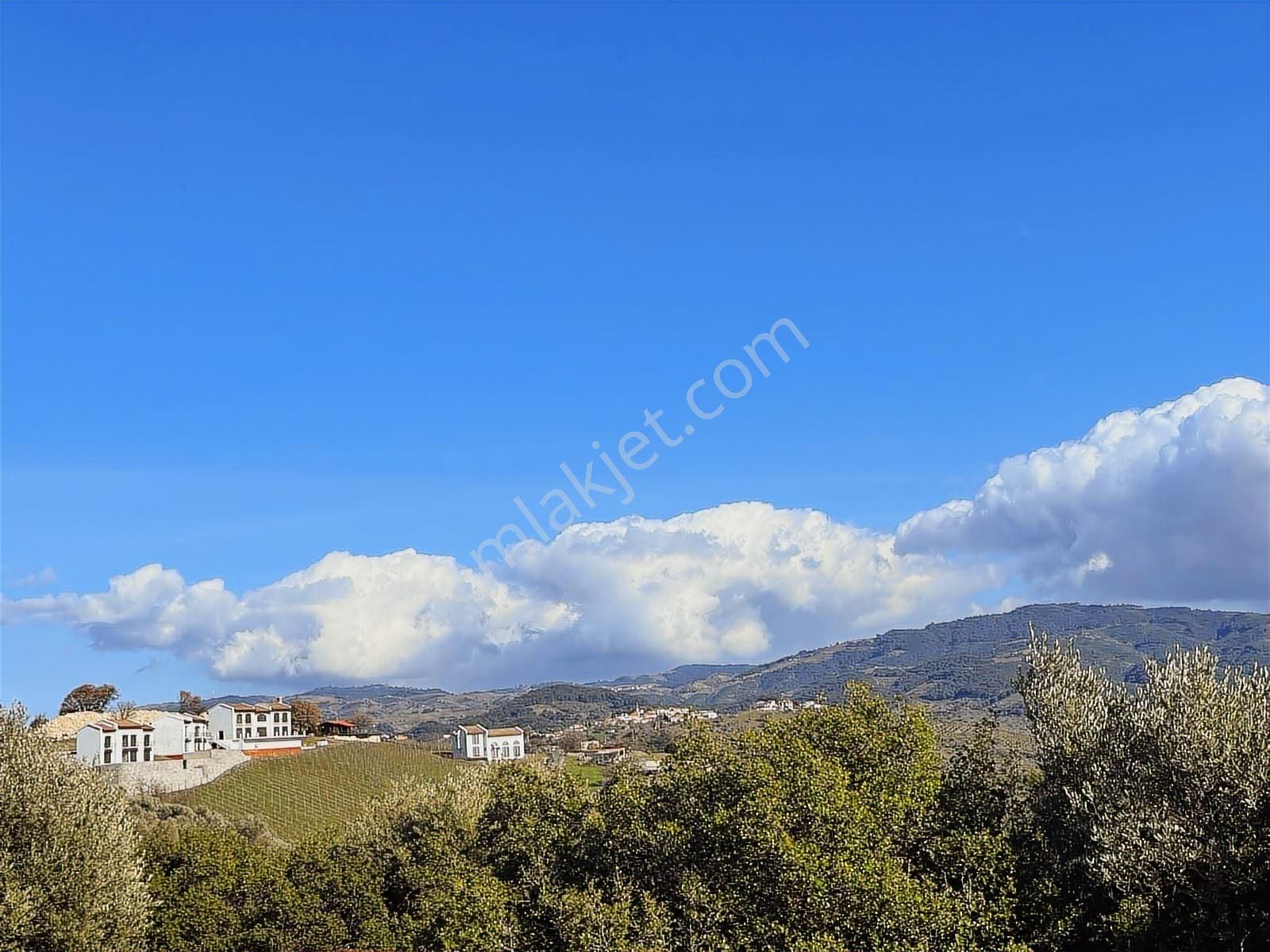Seferihisar Gölcük Satılık 7 Dönüm Yatırımlık Bedava Zeytinlik - Görsel 10