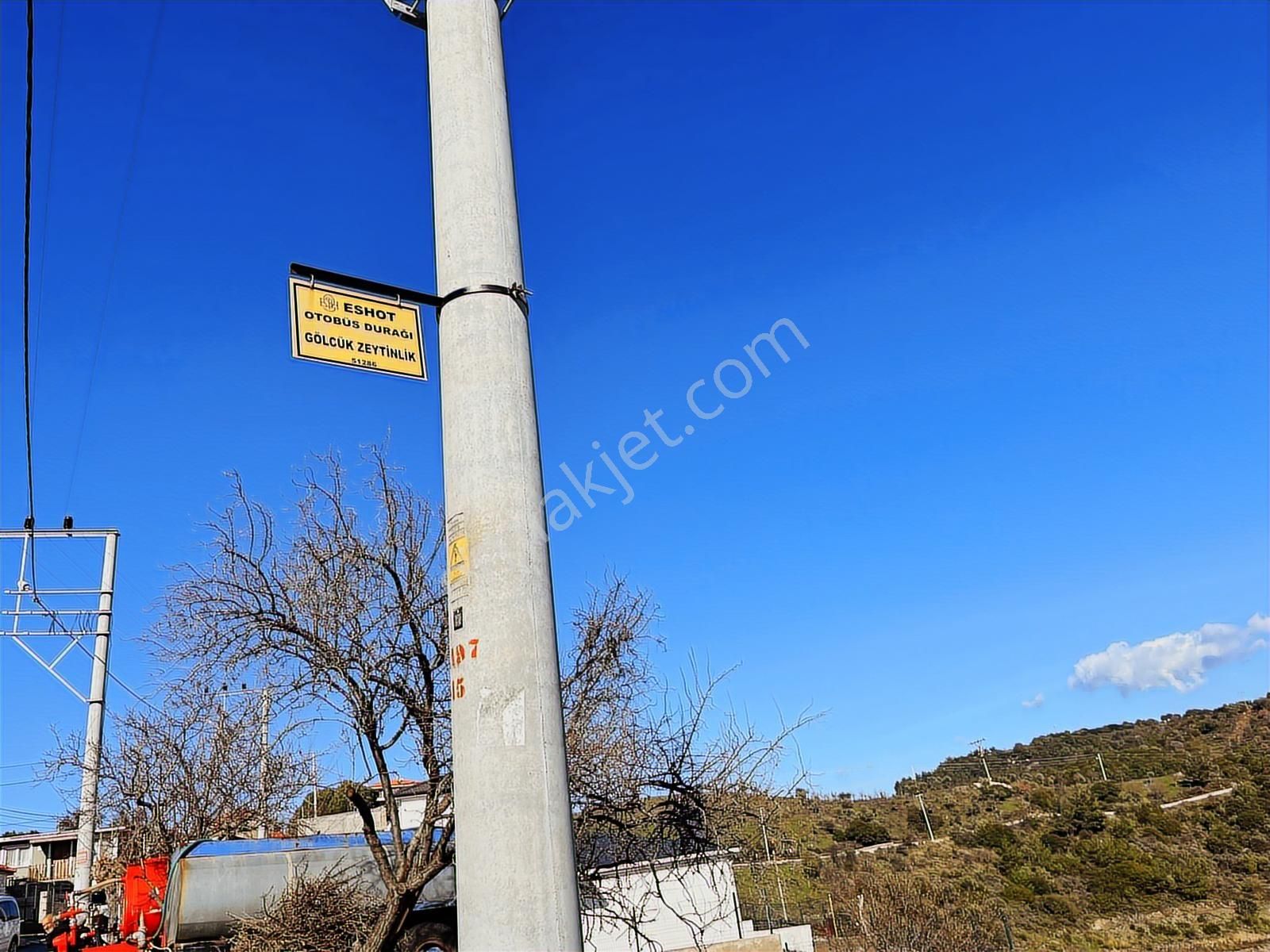 Seferihisar Gölcük Satılık 7 Dönüm Yatırımlık Bedava Zeytinlik - Görsel 6