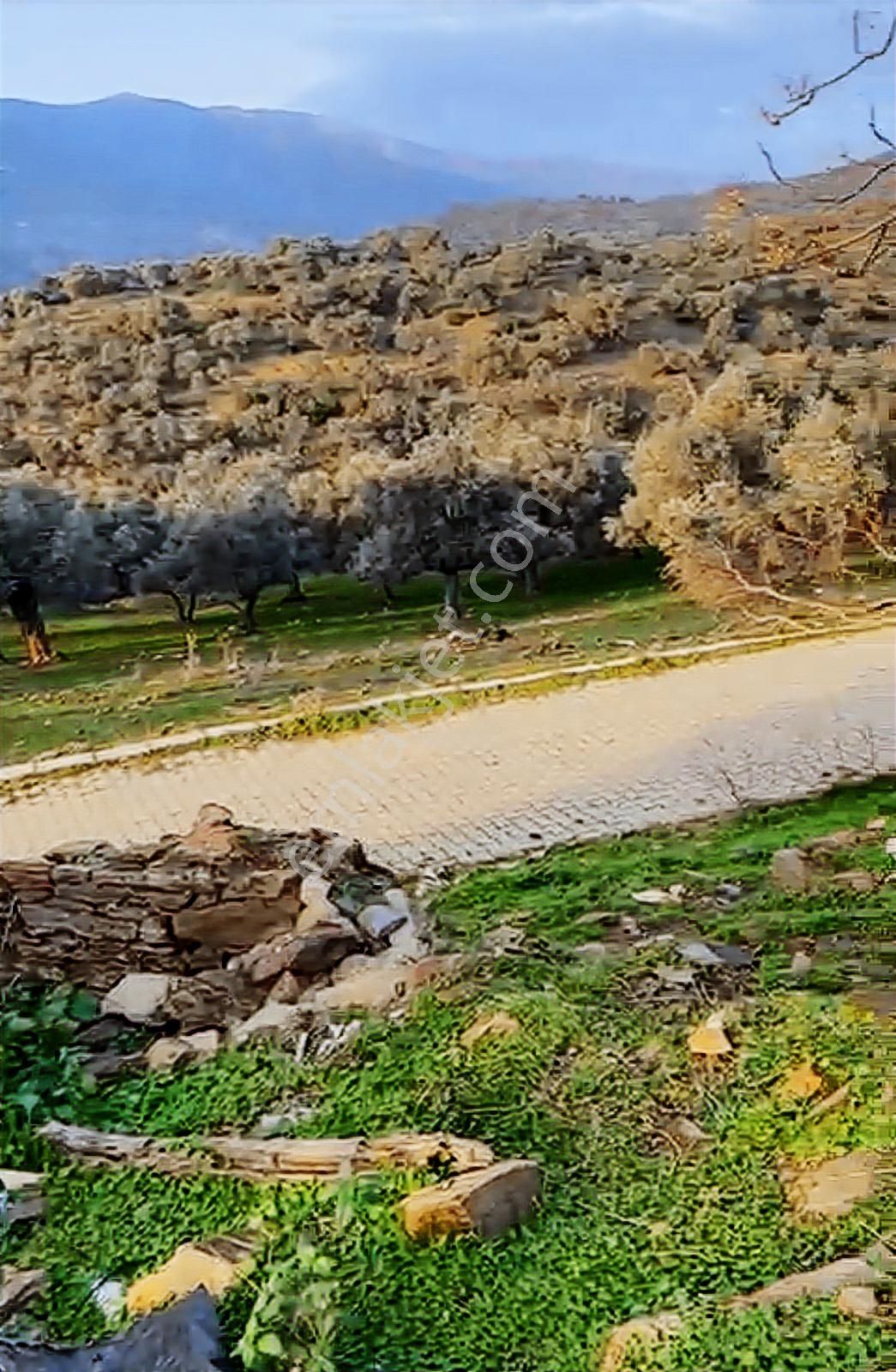 Bayındır Karahayıt Acil Satılık Müstakil Ev Ve Arsası - Görsel 5