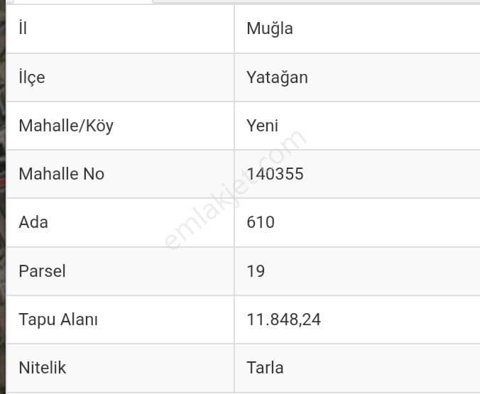 Yatağan'da İmara Yakın 12 Dönüm Tarla Yol Su Elk 250 Meyve Ağacı - Görsel 5