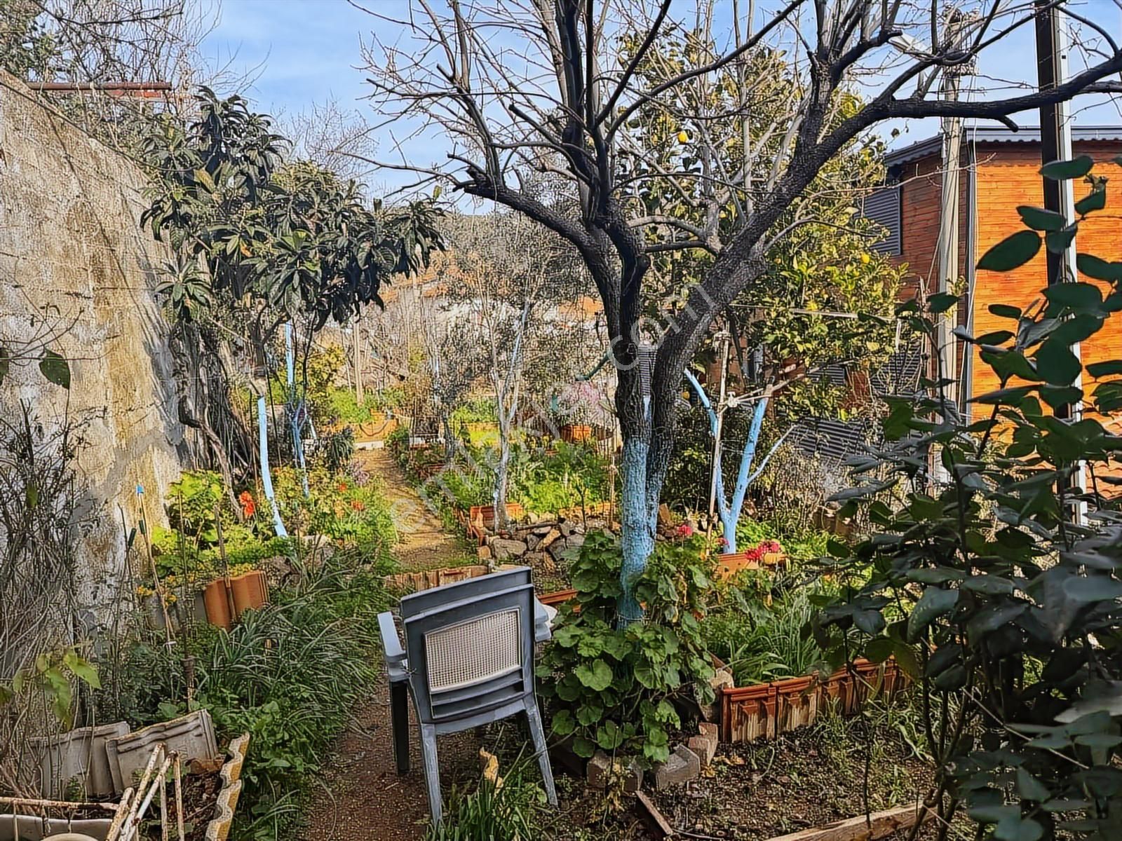 Seferihisar Orhanlı Satılık Müstakil Ev Ve Arsası - Görsel 13