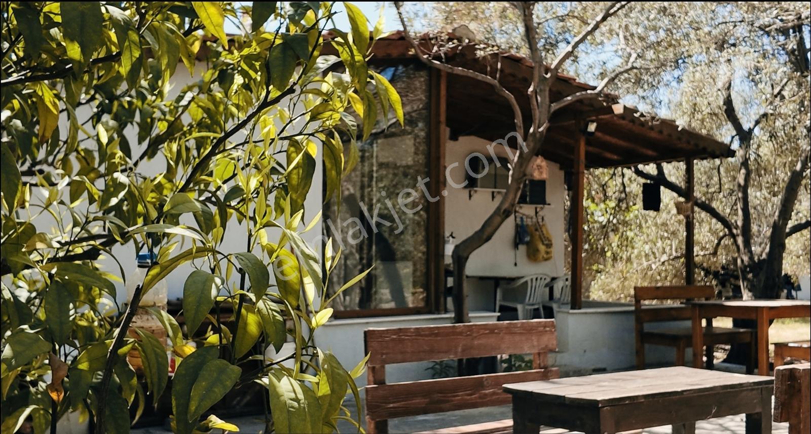 Urla Denizli Mahallesinde Satılık Arsa - Görsel 27