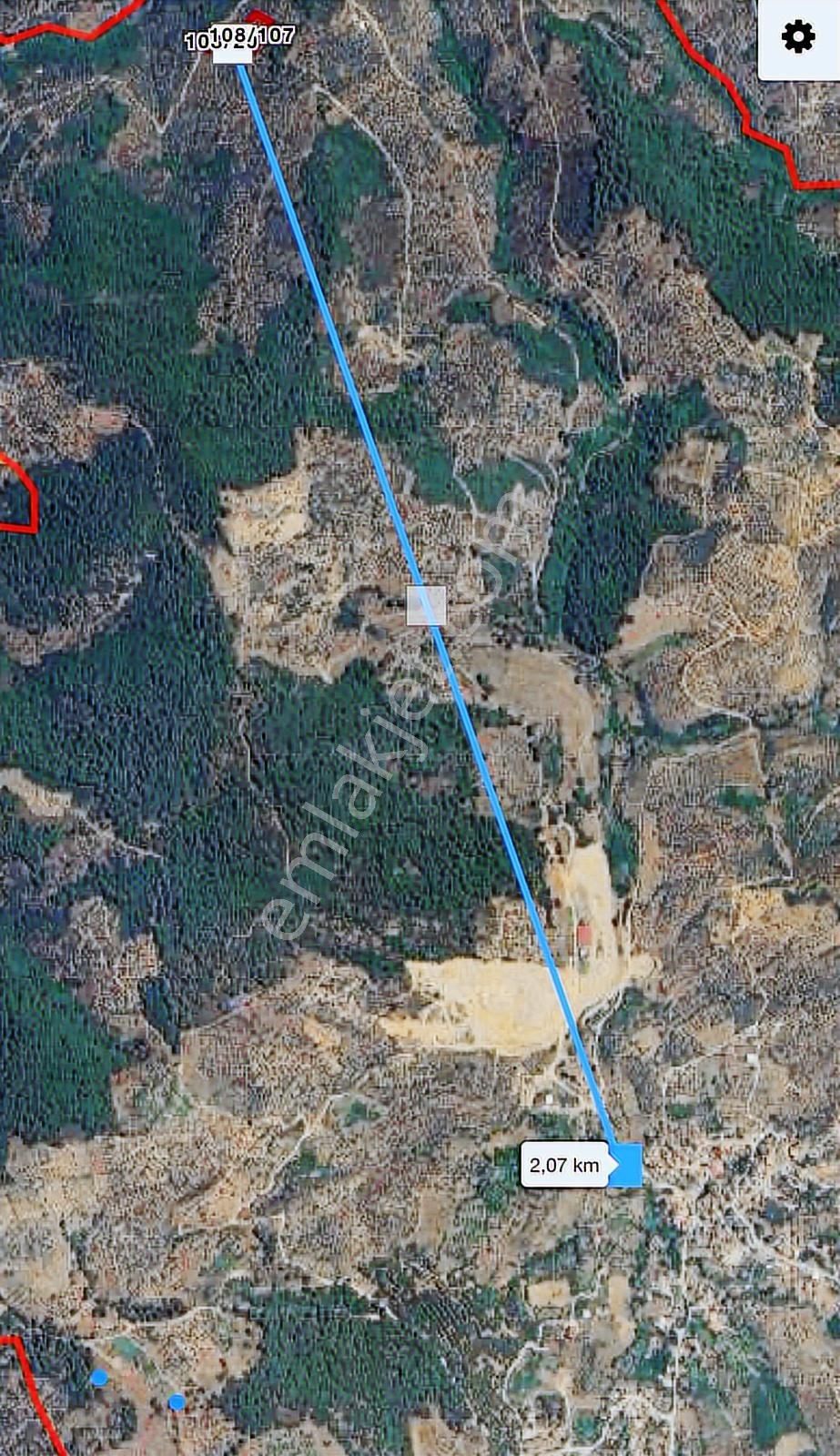 Bayındır Söğütören 4 Dönüm Kelepir Satılık Zeytinlik - Görsel 13