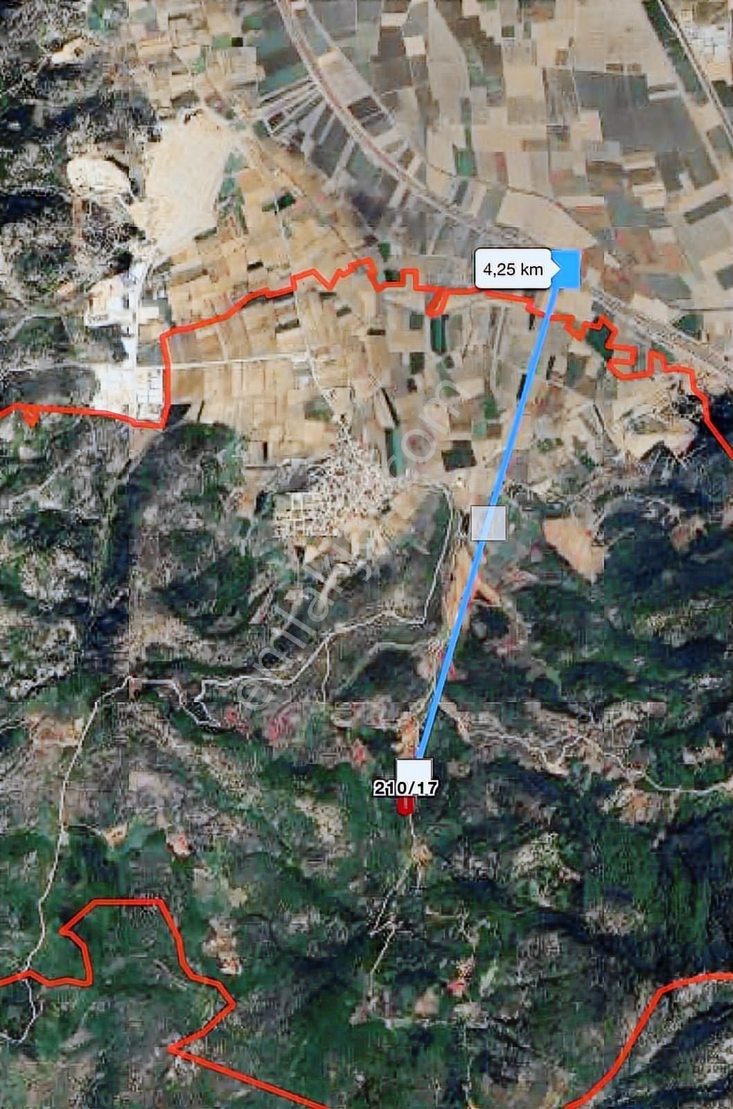 Torbalı Ahmetlide Çevreyoluna 4 Km 12 Dönüm Zeytinlik - Görsel 12