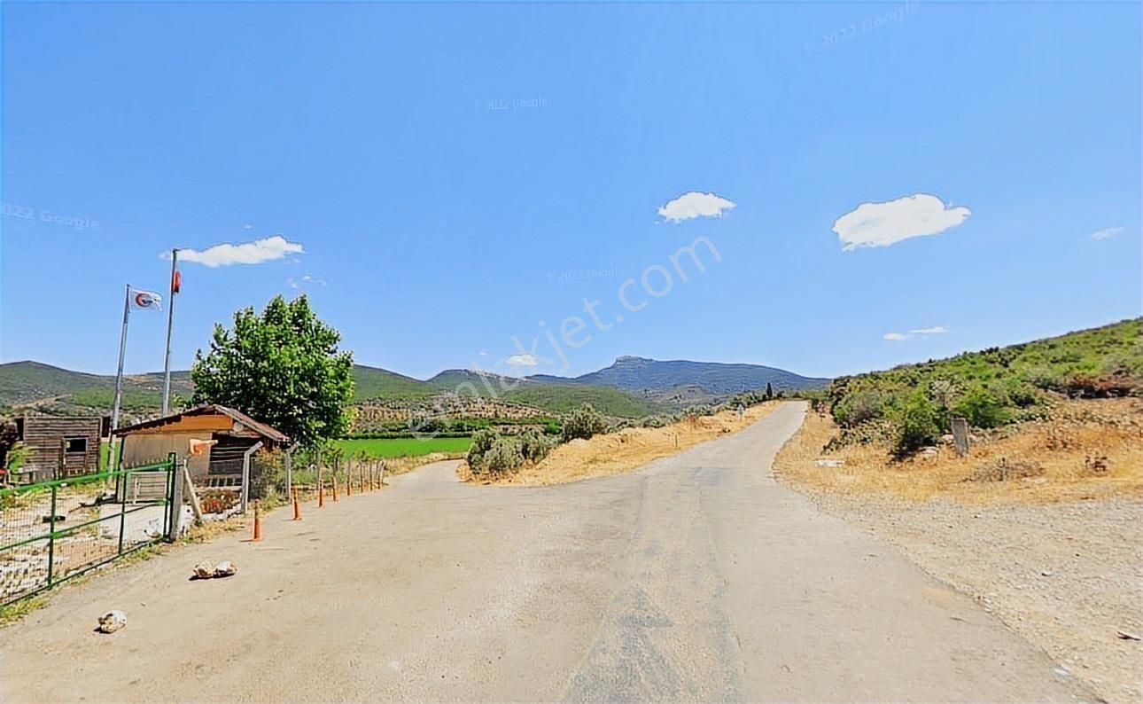 Torbalı Ahmetlide Çevreyoluna 4 Km 12 Dönüm Zeytinlik - Görsel 2