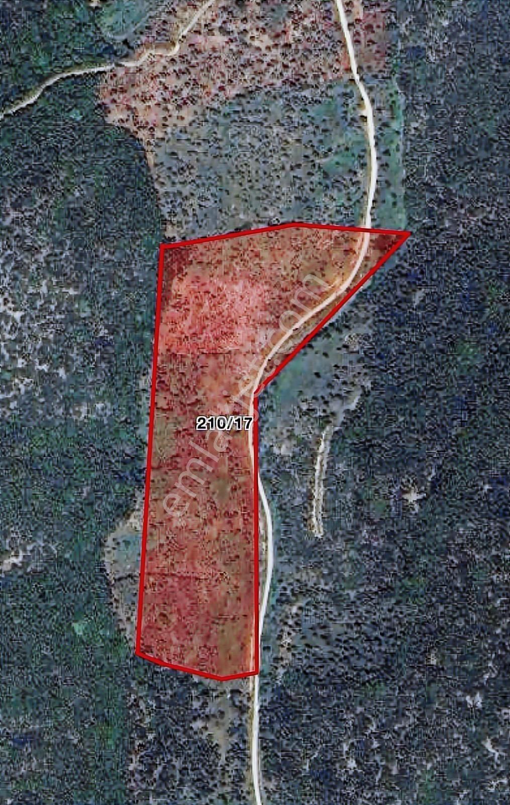 Torbalı Ahmetlide Çevreyoluna 4 Km 12 Dönüm Zeytinlik - Görsel 13
