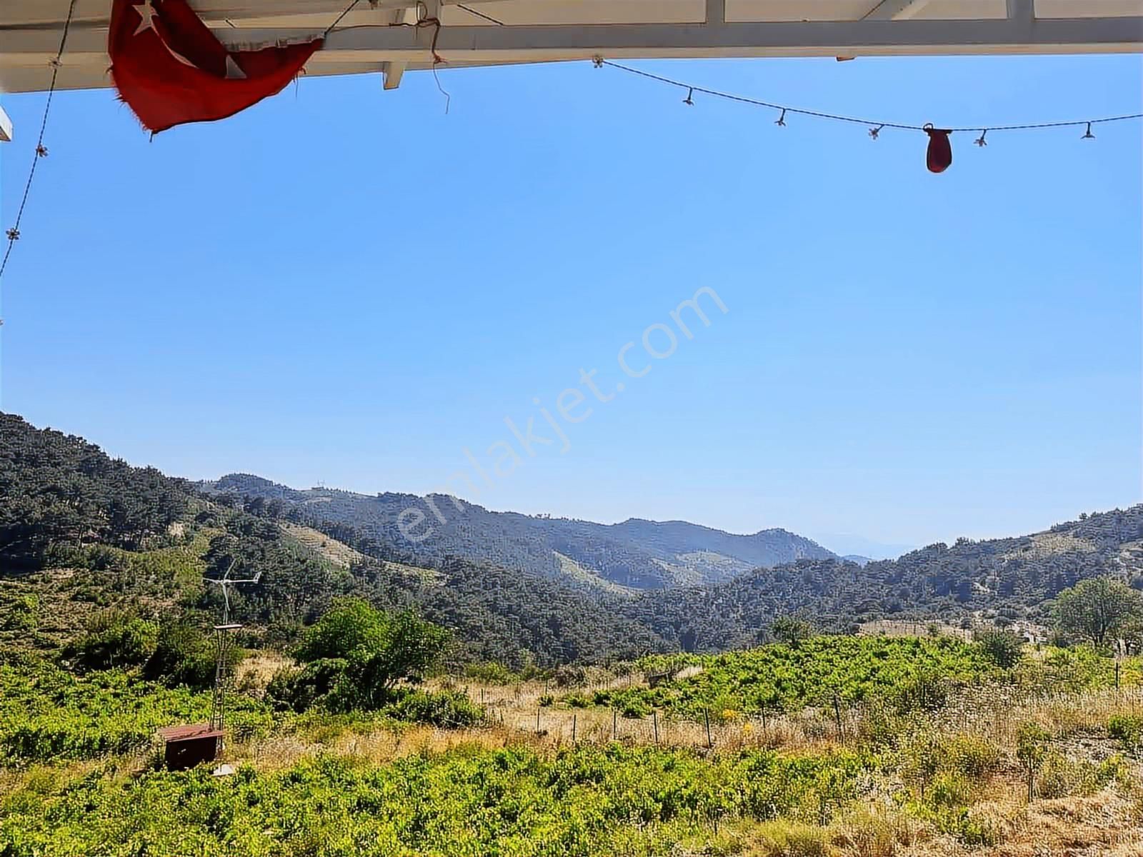 Kavacık Merkezde Satılık Bağ & Bağ Evi 2.586 M² - Görsel 12
