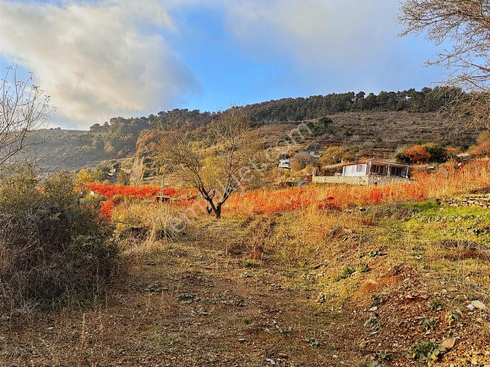 Kavacık Merkezde Satılık Bağ & Bağ Evi 2.586 M² - Görsel 6