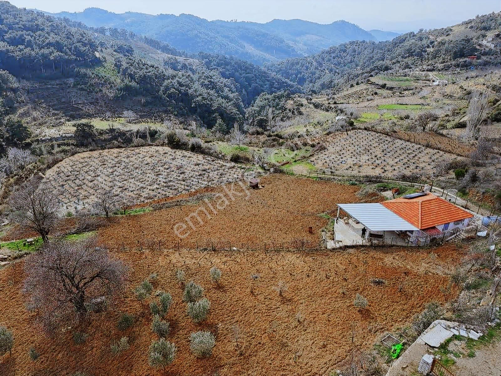 Kavacık Merkezde Satılık Bağ & Bağ Evi 2.586 M² - Görsel 5
