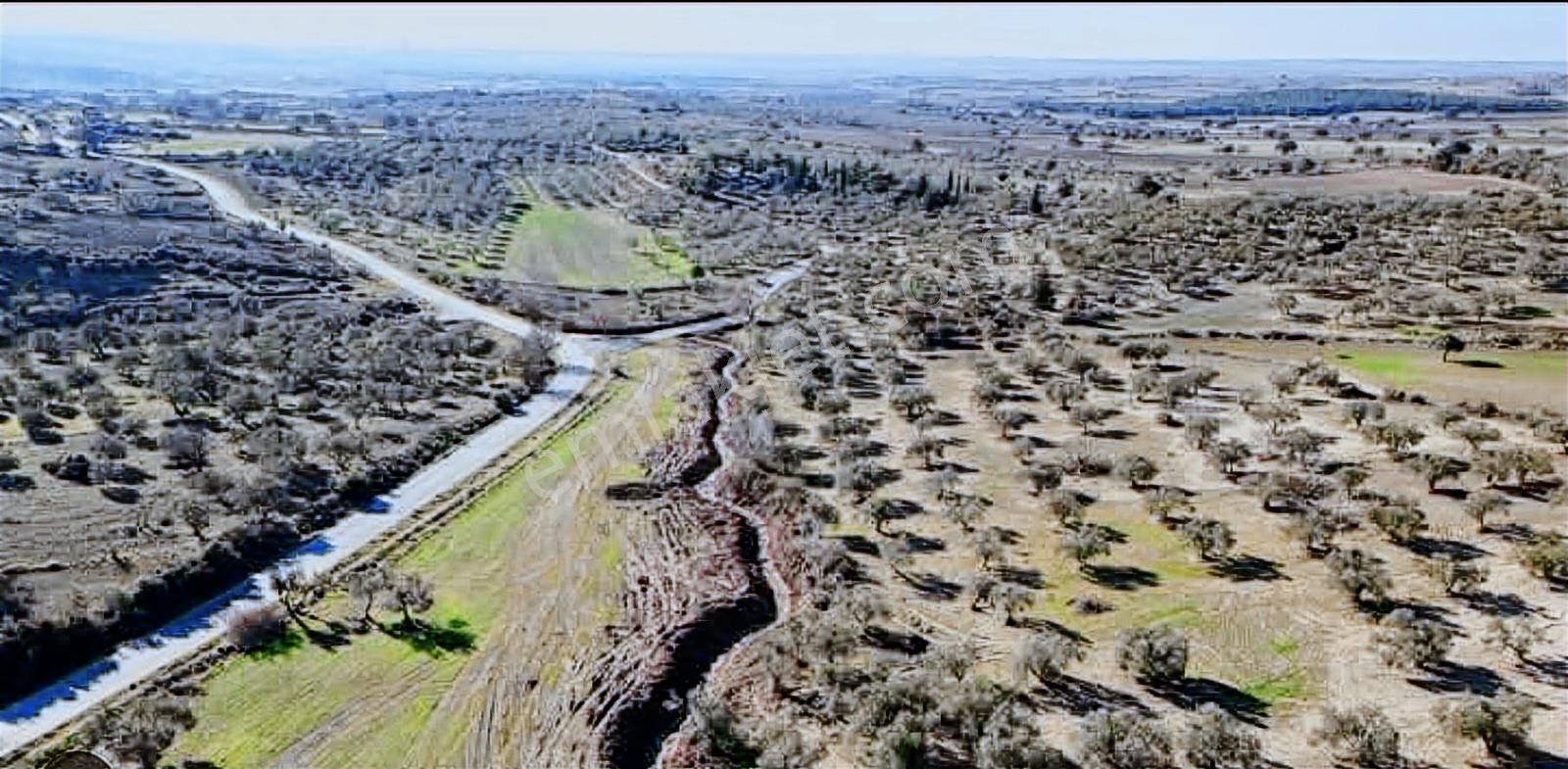 Çanakkale Merkez Akçapınar Köyünde 20 Dönüm Yatırım Fırsatı