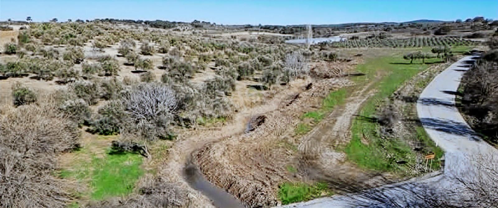 Çanakkale Merkez Akçapınar Köyünde 20 Dönüm Yatırım Fırsatı - Görsel 3