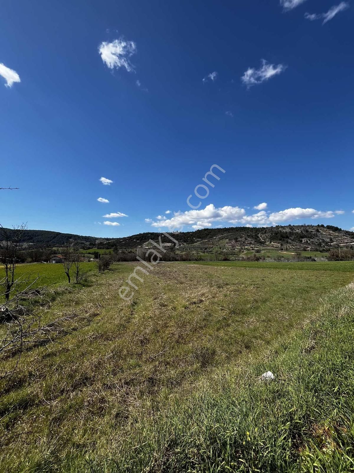 Muğla Menteşe Yenibağyaka Mah. 1.215 M2 Tarla - Görsel 6