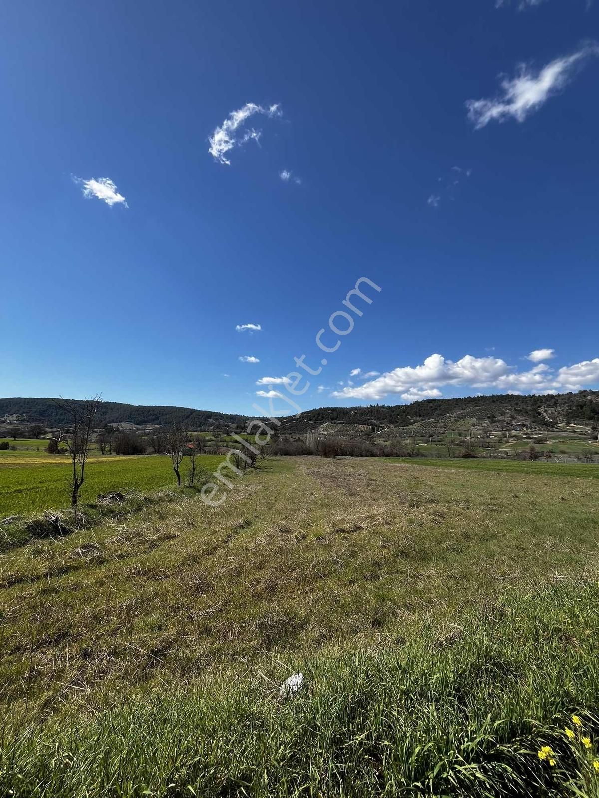 Muğla Menteşe Yenibağyaka Mah. 1.215 M2 Tarla - Görsel 7