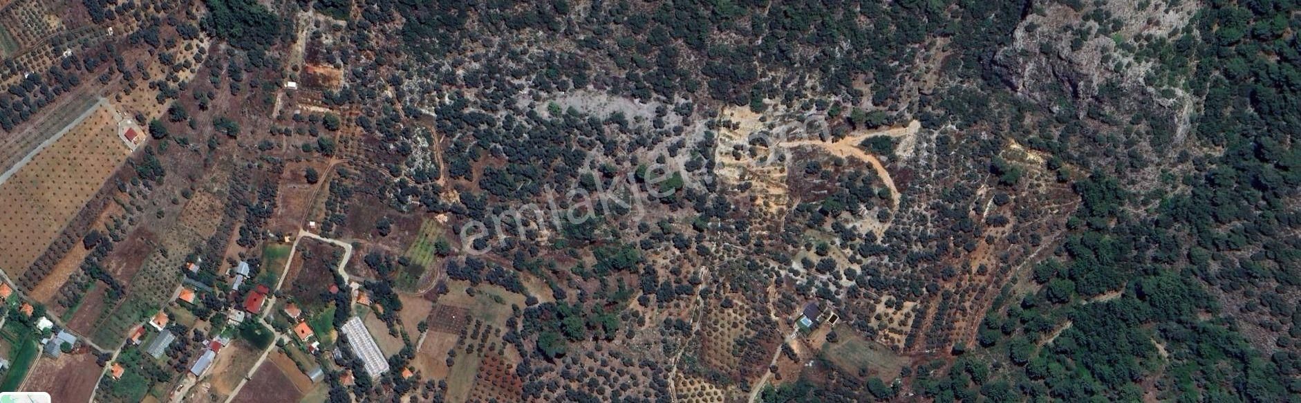 Goldhouse Dan Satılık Dalaman Da 802 M2 Tarla - Görsel 2