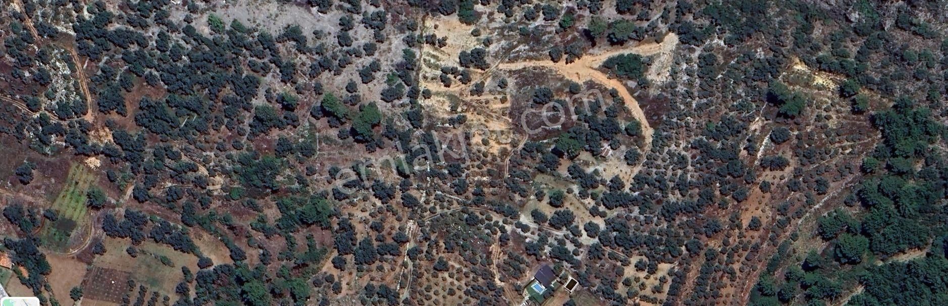 Goldhouse Dan Satılık Dalaman Da 802 M2 Tarla - Görsel 3