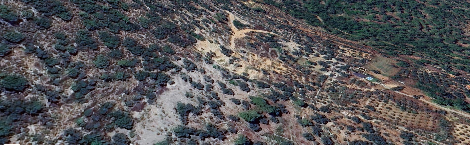 Goldhouse Dan Satılık Dalaman Da 802 M2 Tarla - Görsel 4