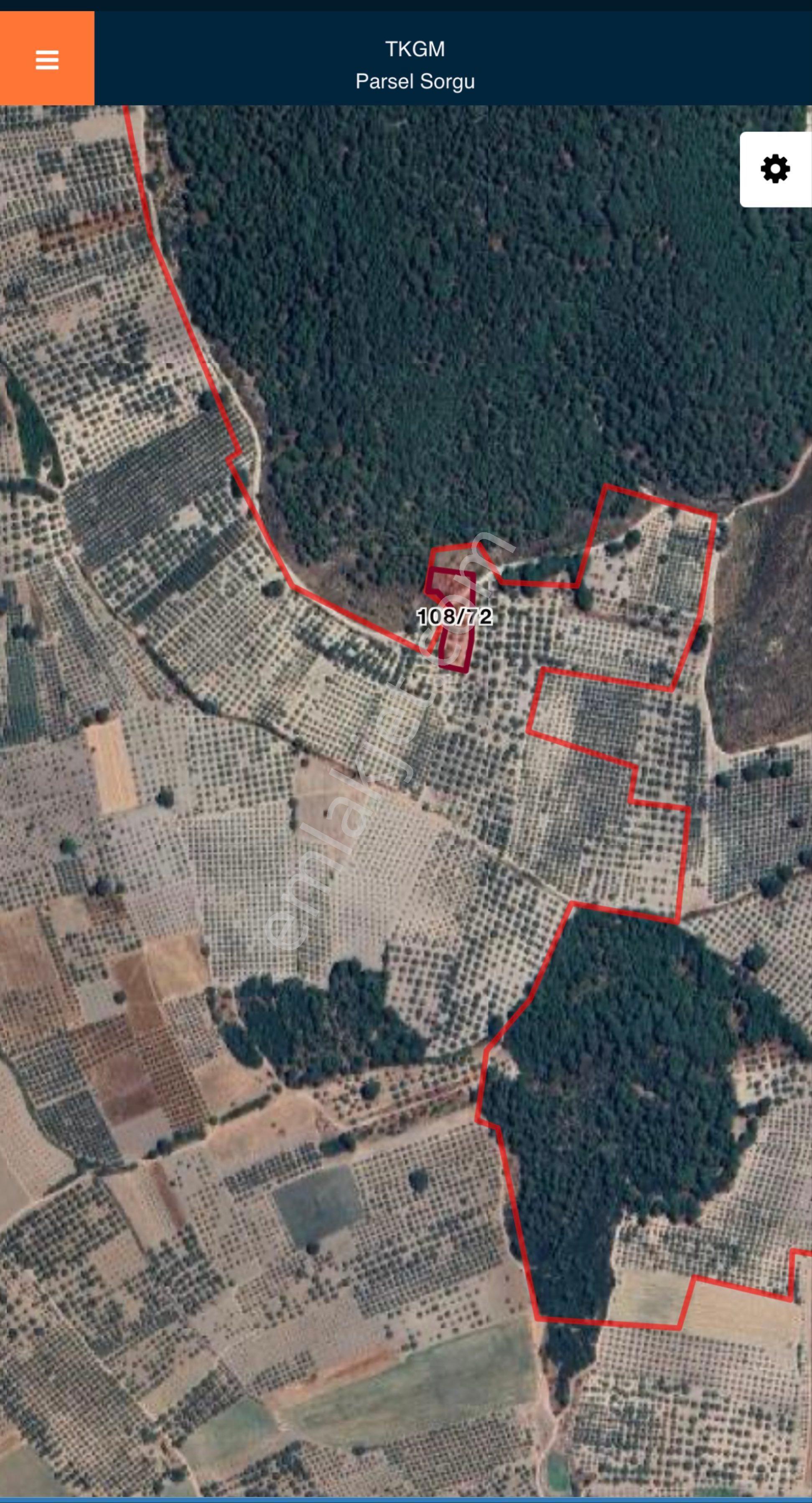 Akhisar Büknüş’te Oksijen Deposu Tek Tapu Satılık Zeytinlik