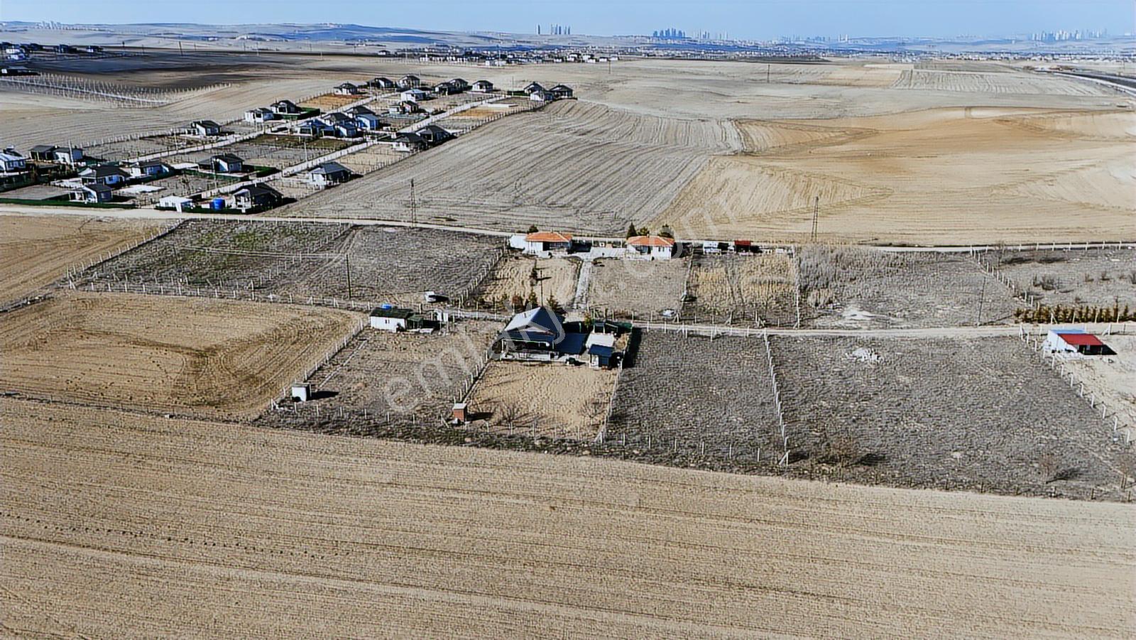 Gölbaşı Yavrucuk Da 977m2 Hisse Tapulu Bahçe Karadeniz Emlaktan - Görsel 19