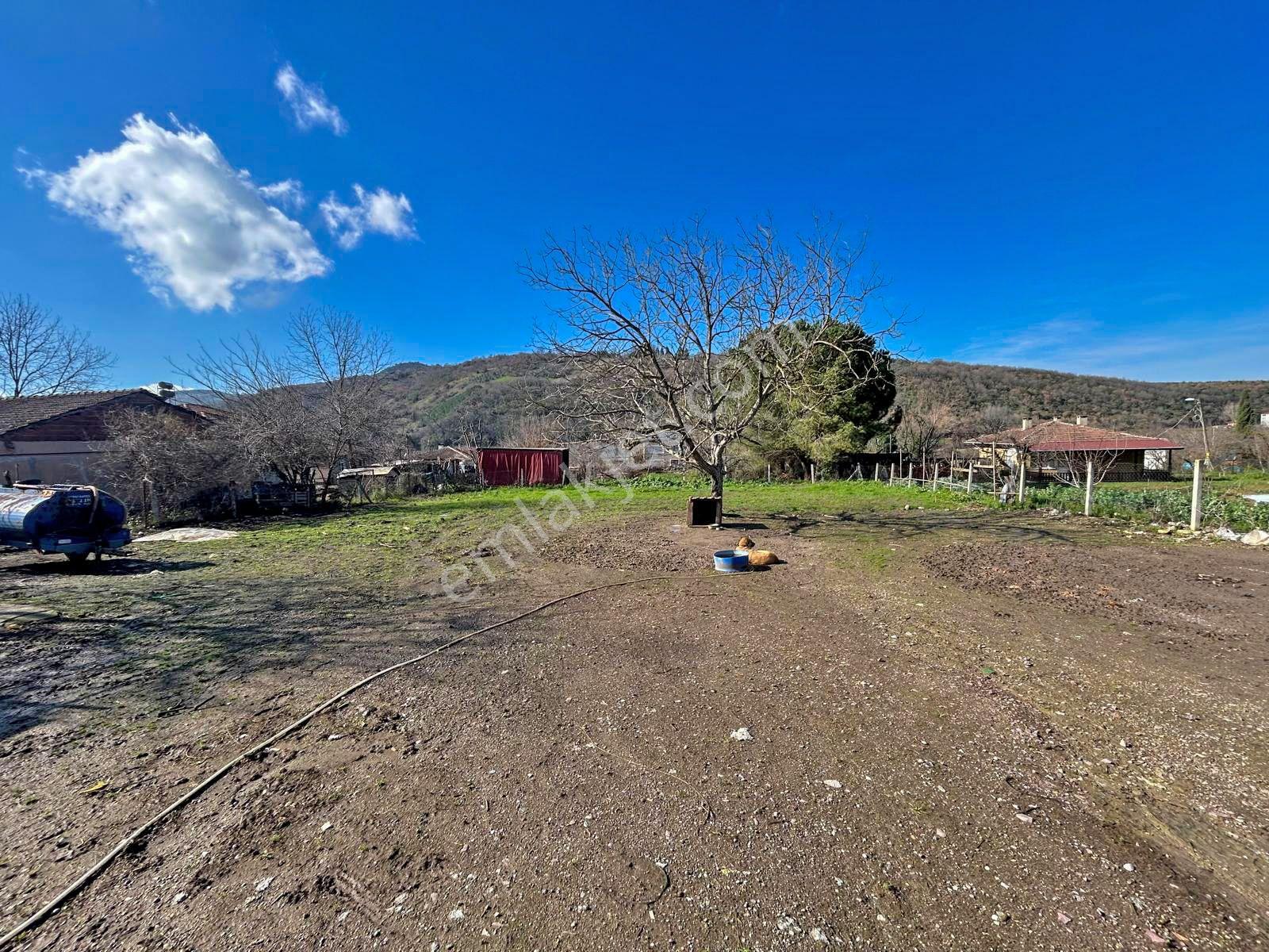 Uzmanlar'dan Altınova Ayazma Köy Evi Ve 1549 M2 Arsası - Görsel 14