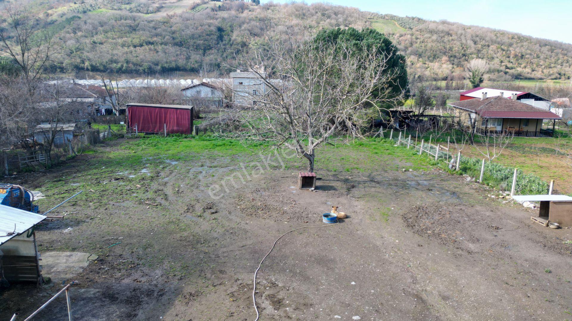 Uzmanlar'dan Altınova Ayazma Köy Evi Ve 1549 M2 Arsası - Görsel 8