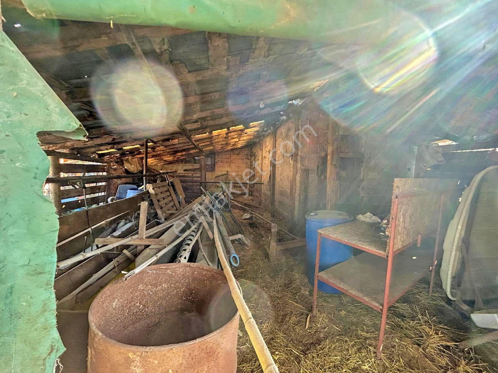 Uzmanlar'dan Altınova Ayazma Köy Evi Ve 1549 M2 Arsası - Görsel 16
